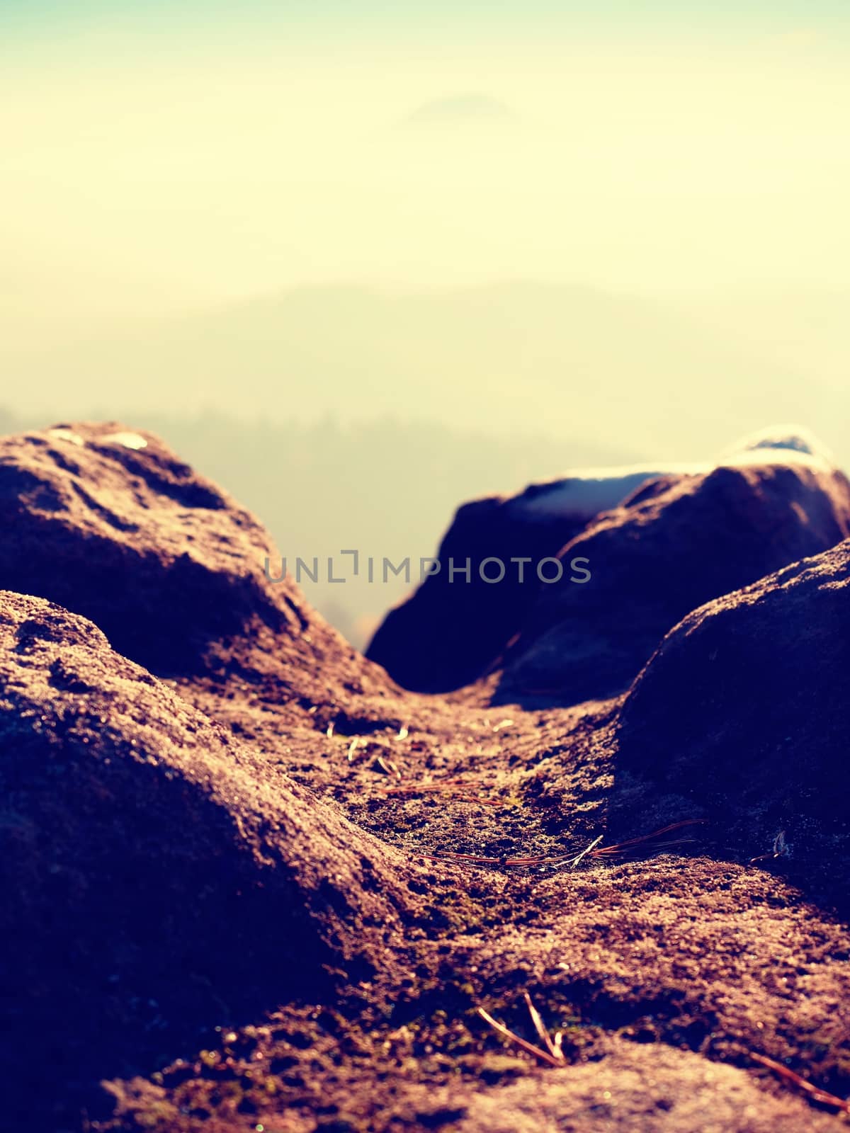 Rocky peak above inverse mist. Winter cold weather in mountains, colorful fog. Misty valley in winter mountains. Peaks of  mountains above creamy mist. 