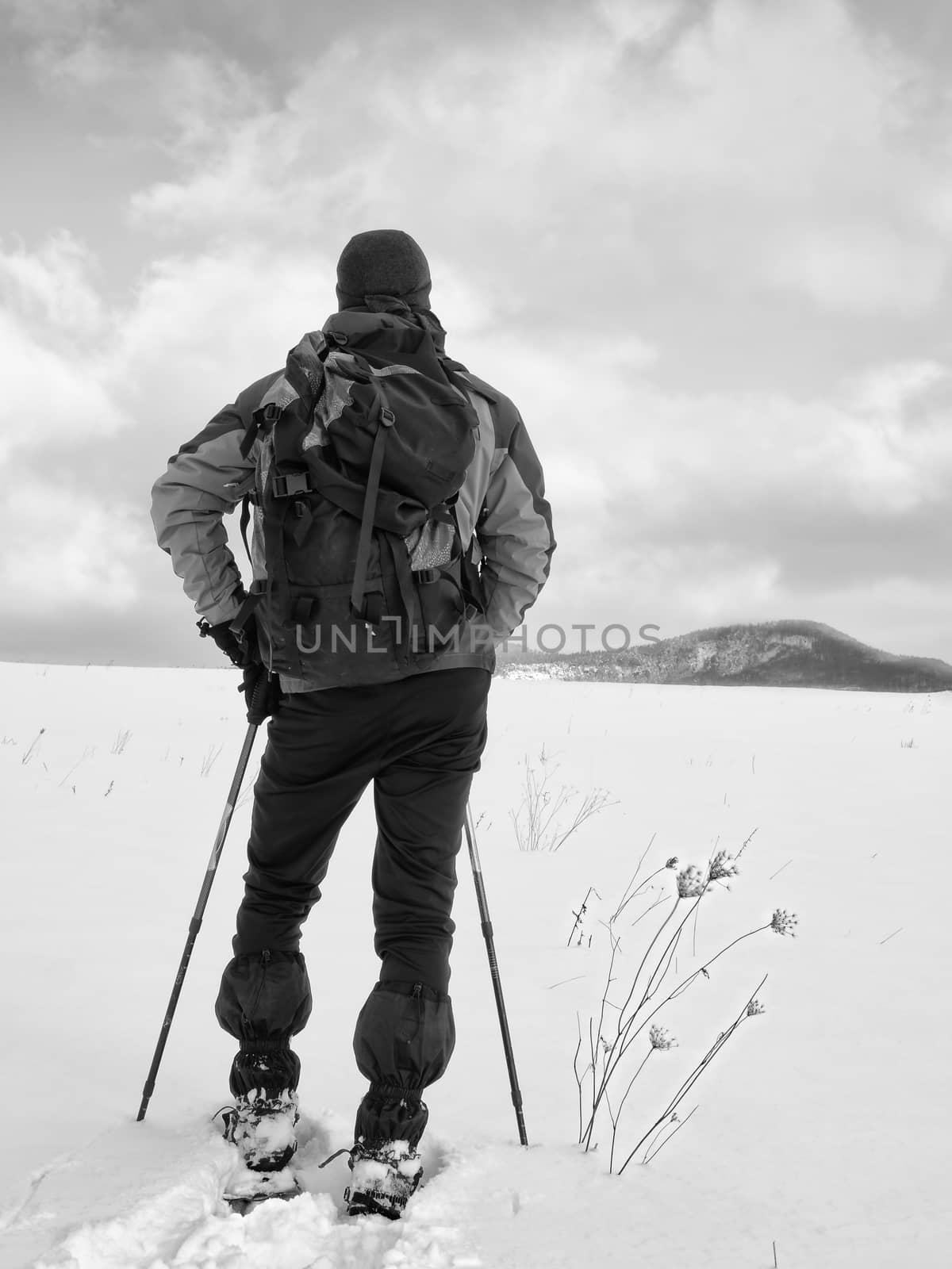 Man with snowshoes and backpack take a rest in snow. Hiker in winter jacket and trekking trousers snowshoeing in powder snow. Cloudy winter day, gentle wind brings small snow flakes 