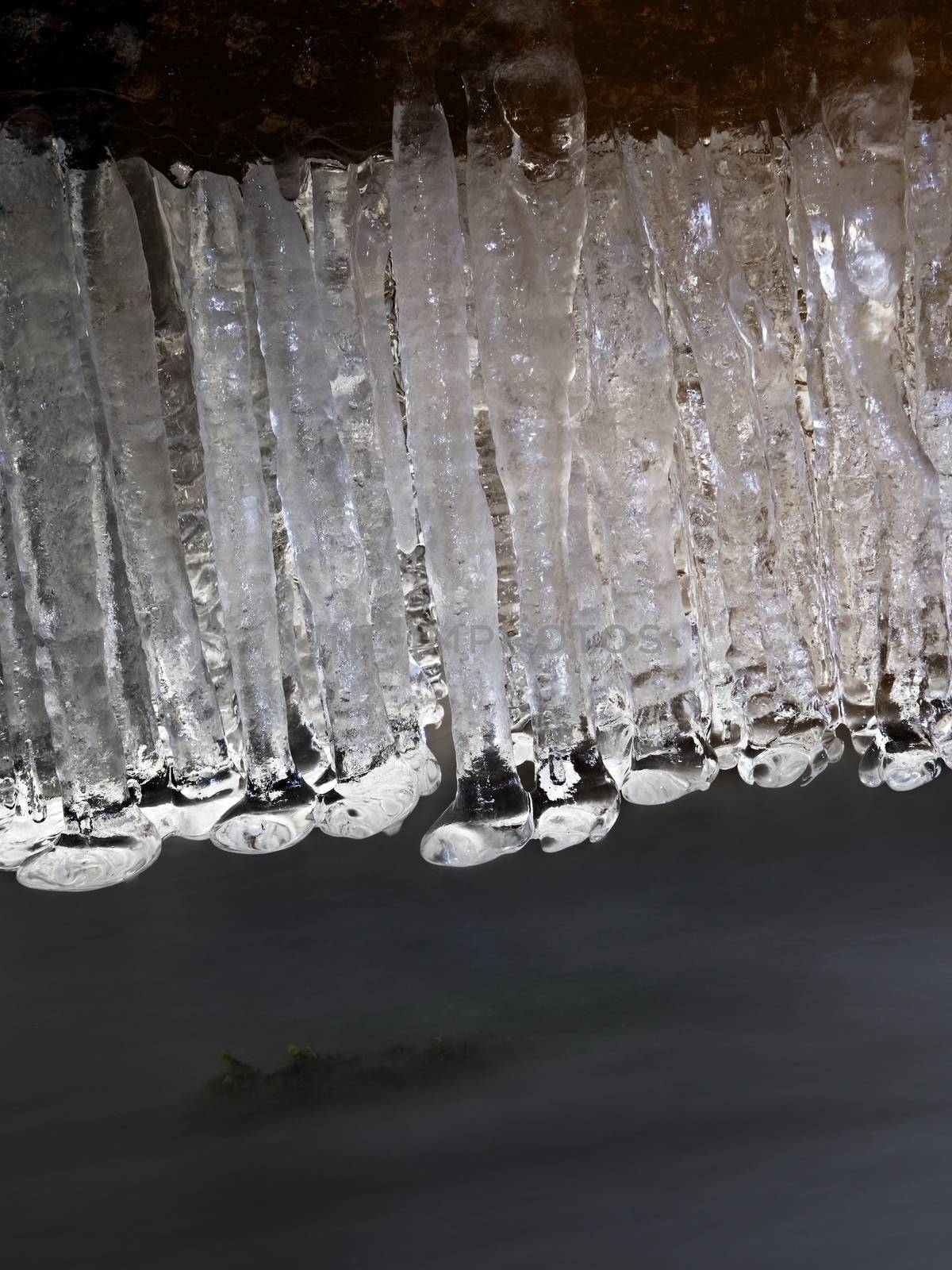 Icicles above freeze winter mountain stream. Winter season at river, shinning icicles are hanging on fallen trunk above milky water level. 