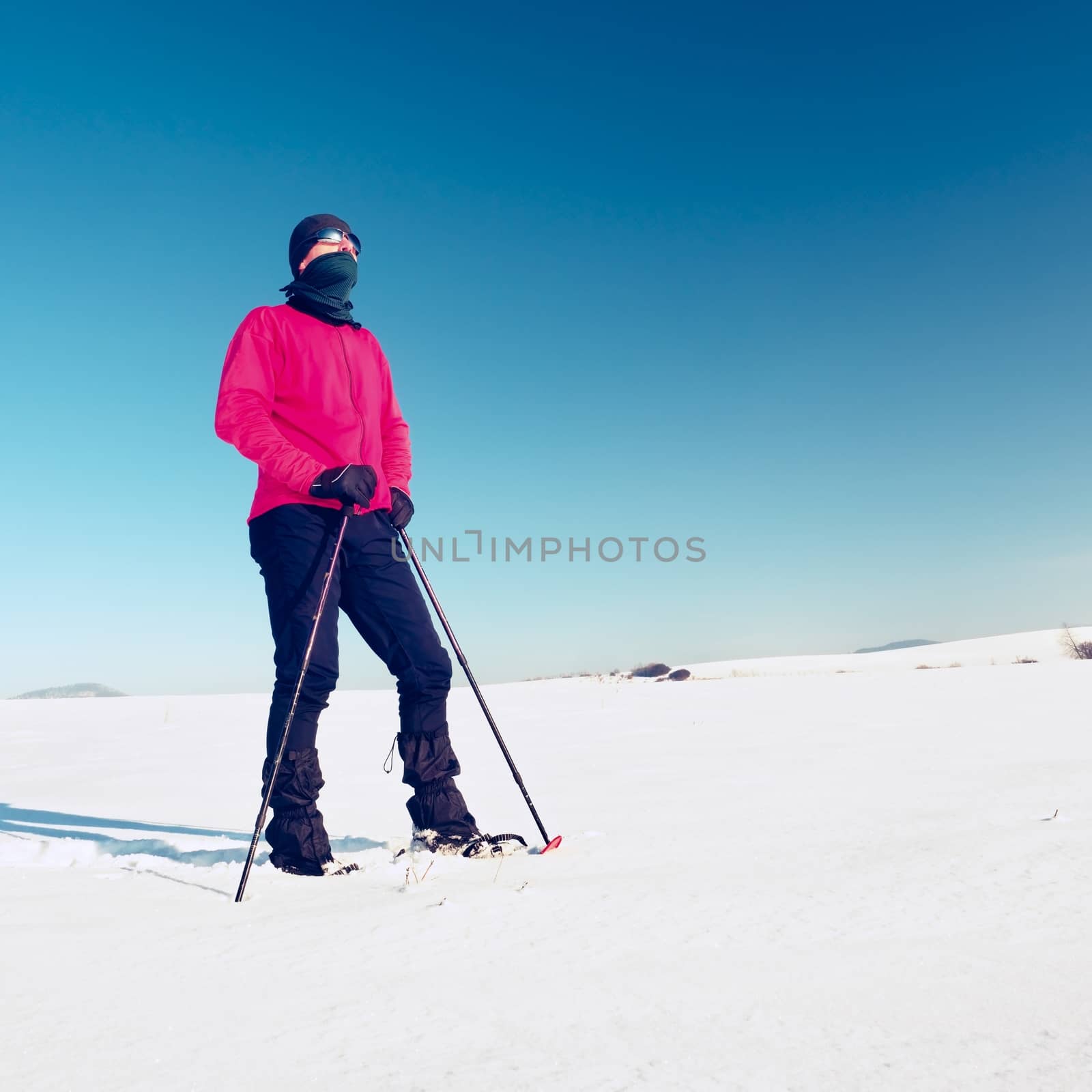 Winter tourist with snowshoes walk in snowy drift. Hiker in pink sports jacket and black trekking trousers snowshoeing in powder snow. Cloudy winter day, gentle wind brings small snow flakes. 