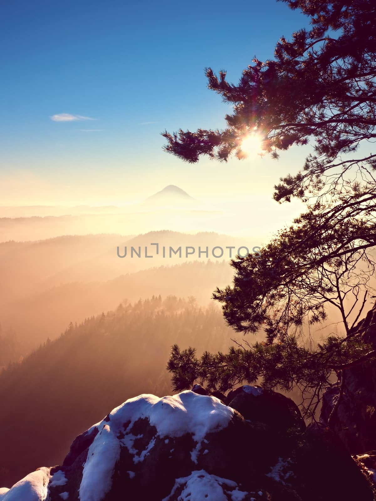 Cold golden spring daybreak. Snow on ground. Peaks of forests increased from the yellow and orange fog with sun rays. 