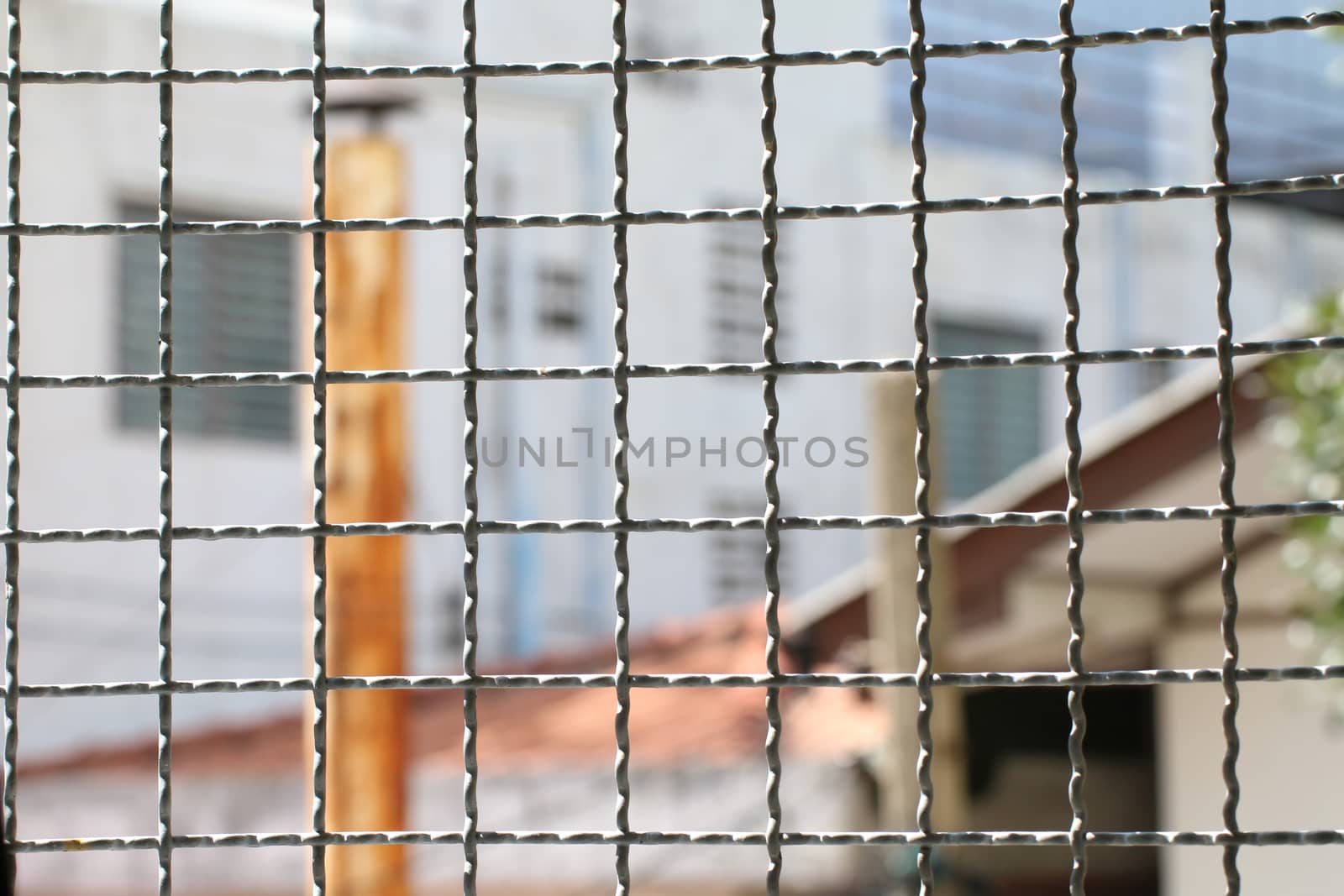 Mushroom barbed wire cage inside detention Within steel cage, nick iron net wall wire metal square grid fence to prevent by cgdeaw