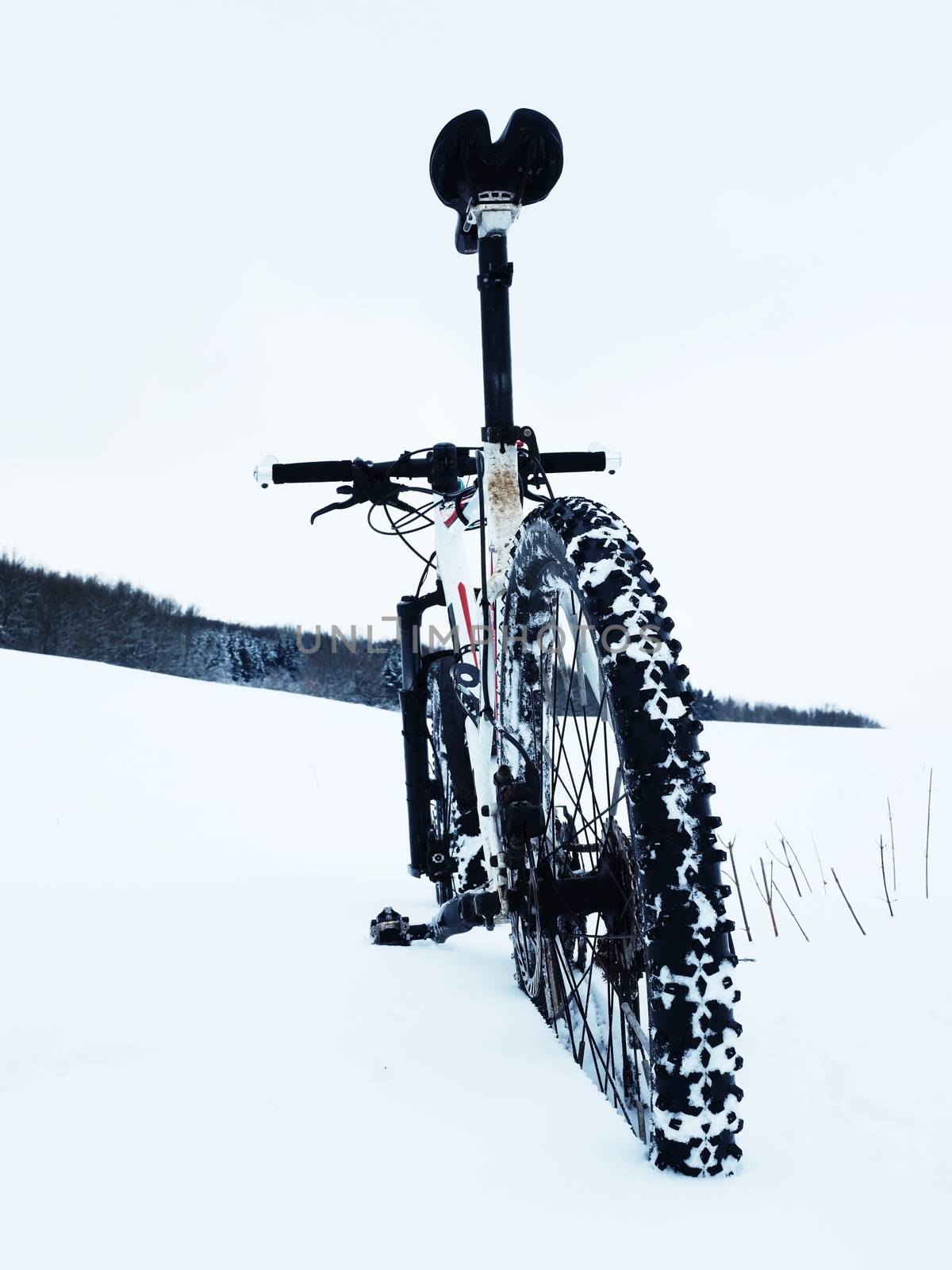 Mountain bike stay in powder snow. Lost path  in deep snowdrift. Rear wheel detail. Snow flakes melting on dark off road tyre.  Winter weather in the field.