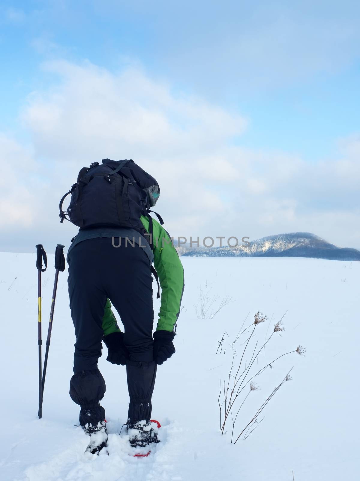 Winter tourist checking  snowshoe. Hiker in green winter jacket and carry big backpack walk in snowy filed. Snowshoeing in powder snow. 