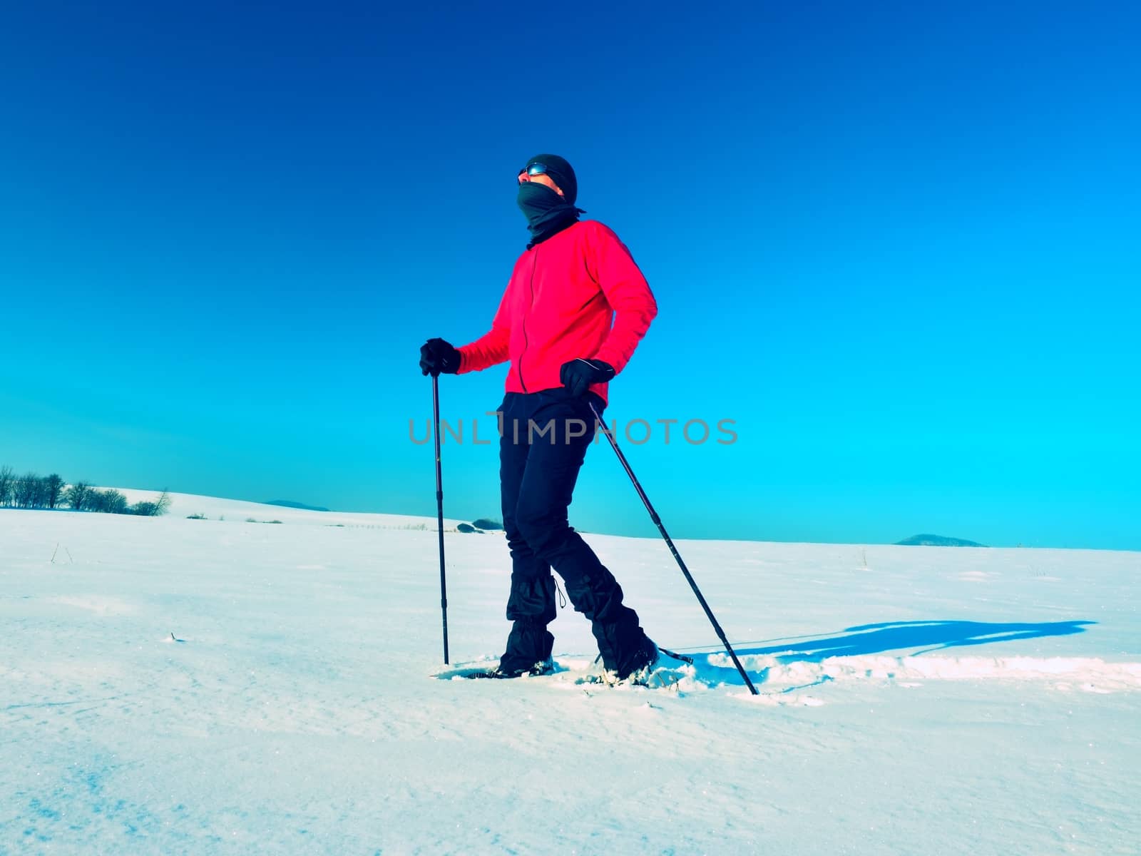 Tourist with snowshoes walk in snowy drift. Sunny freeze weather. Hiker in pink sports jacket and black trekking trousers snowshoeing in powder snow.