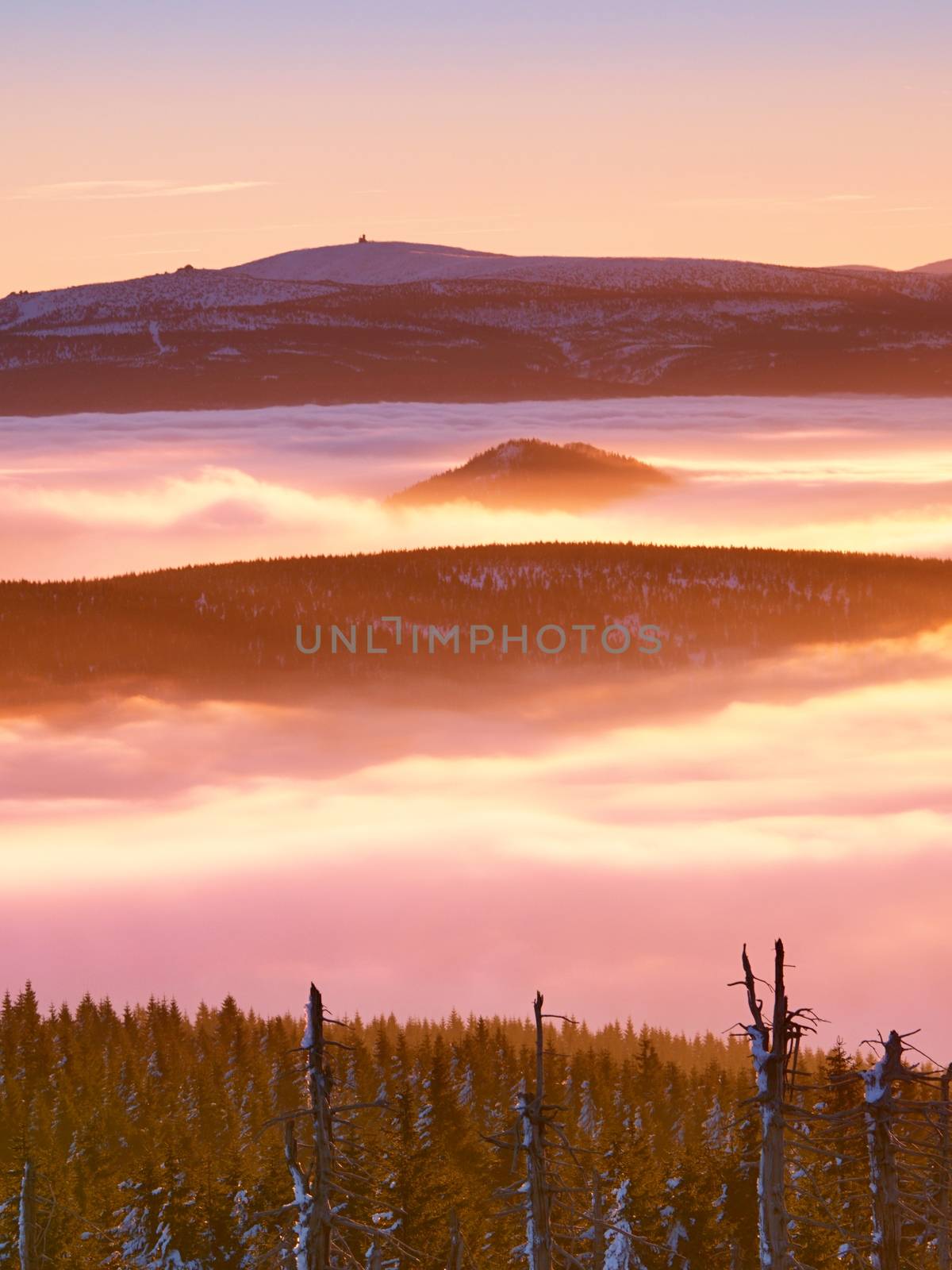 Highest hills above inverse mist. Winter cold weather in mountains, colorful fog. Misty valley in winter mountains. Peaks of  mountains above creamy mist. 