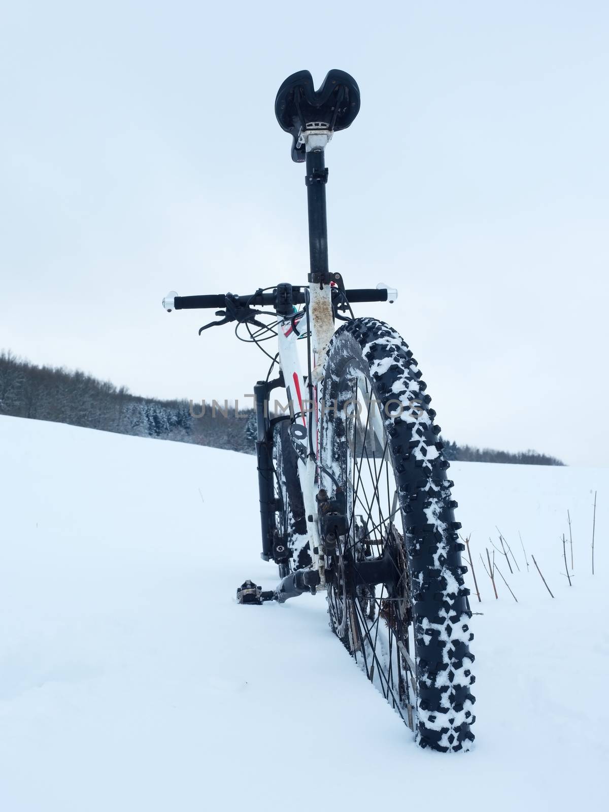 Mountain bike stay in powder snow. Lost path  in deep snowdrift. Rear wheel detail. Snow flakes melting on dark off road tyre.  Winter weather in the field.