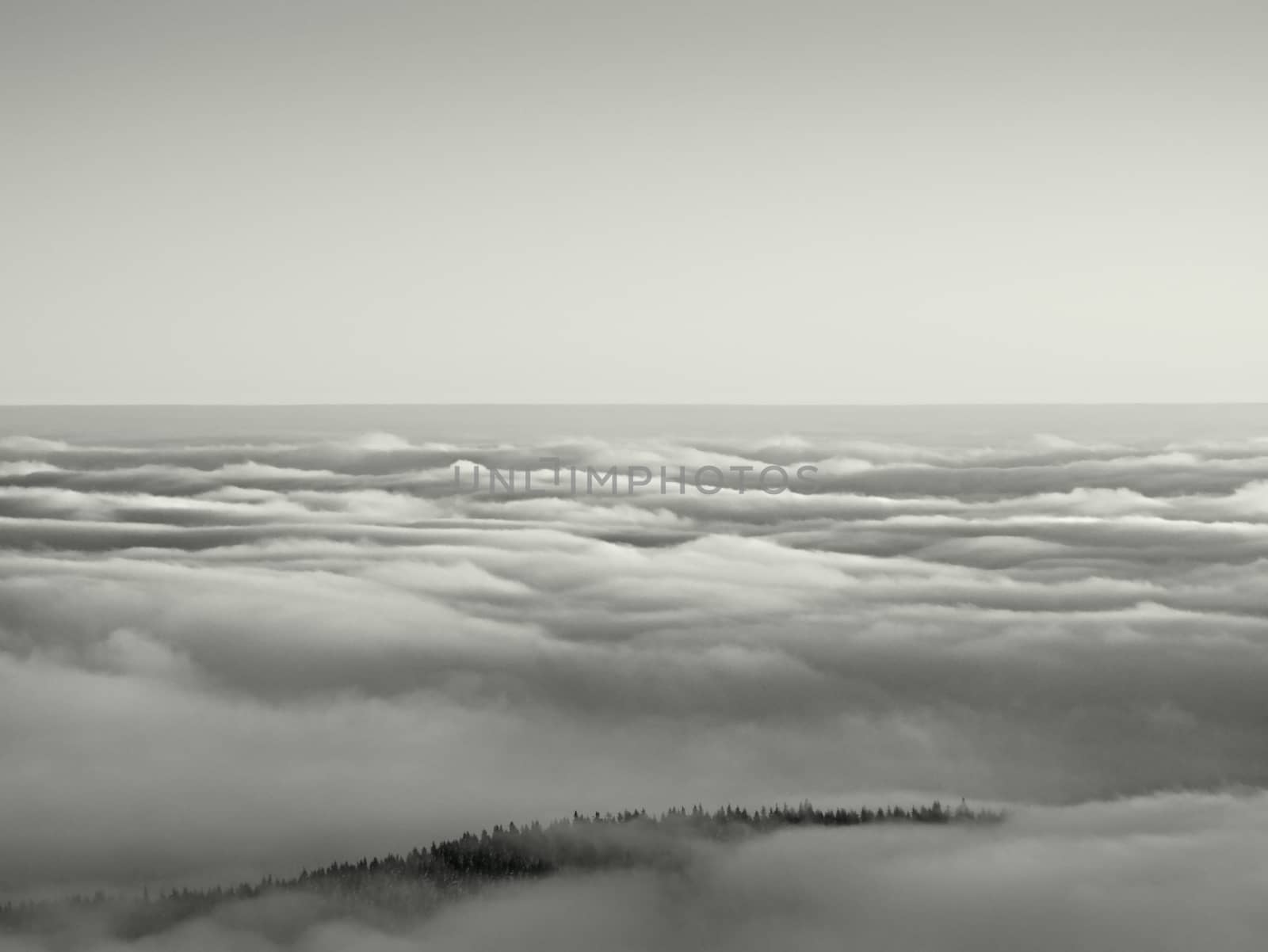 Misty valley in winter mountains. Peaks of  mountains above creamy mist.  Inverse weather, shinning fog.