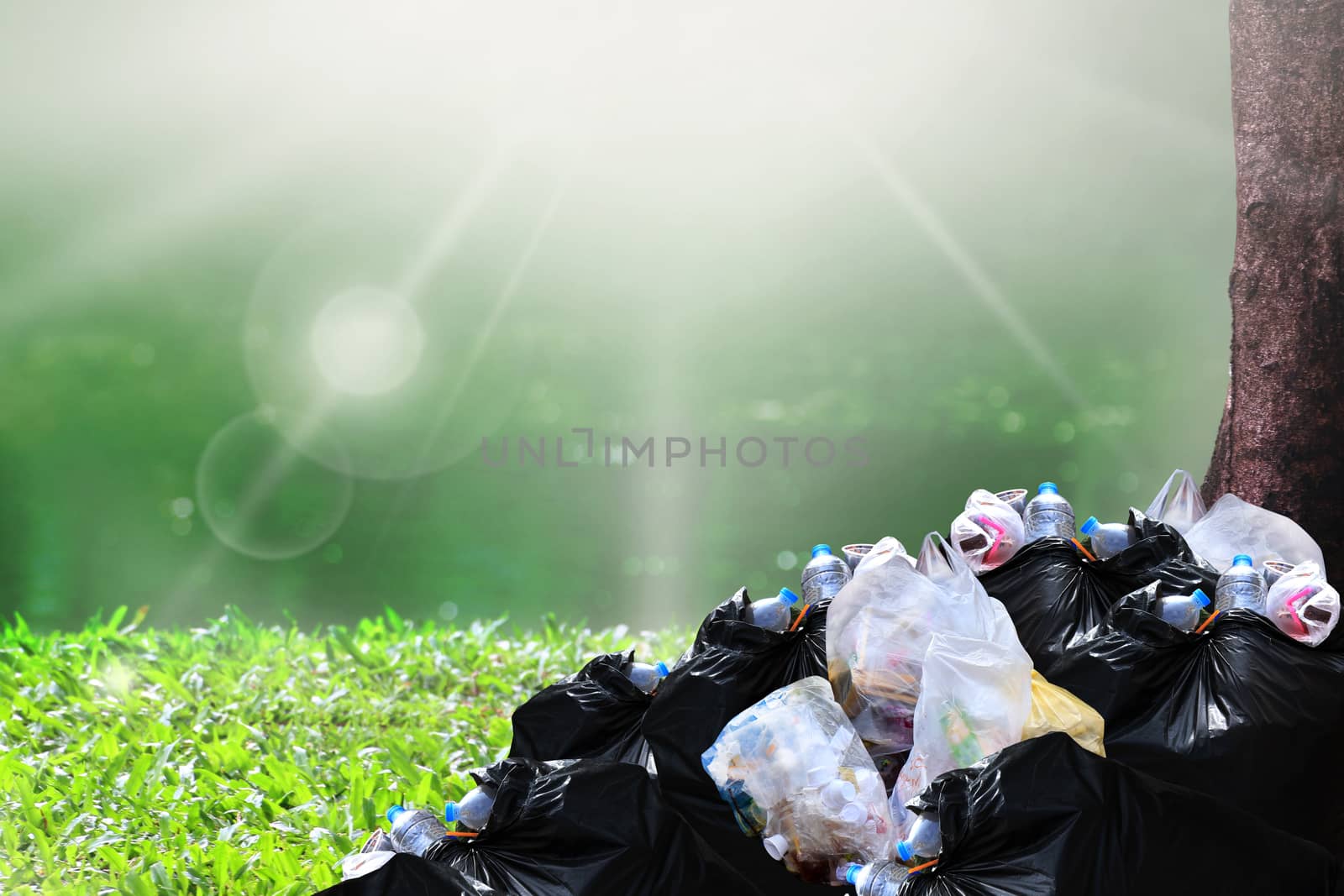 garbage waste, heap of garbage plastic waste black and trash bag many at river park nature tree sunshine background, pollution lots waste plastic trash, pile of plastic bags waste garbage many by cgdeaw