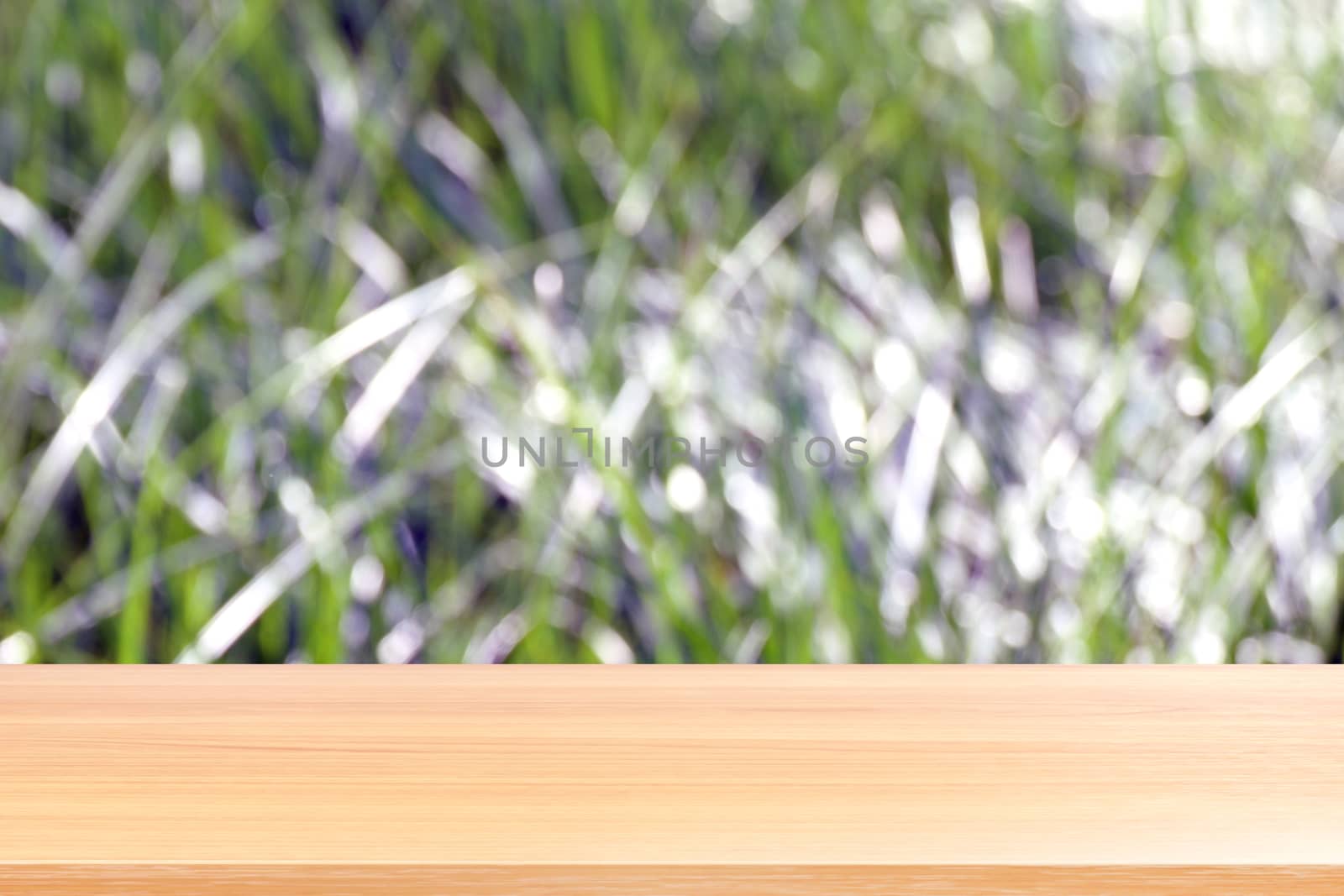 wood plank on blurred bokeh soft grass nature background, empty wood table floors on bokeh of dew grass natural green, wood table board empty front background grass abstract light green