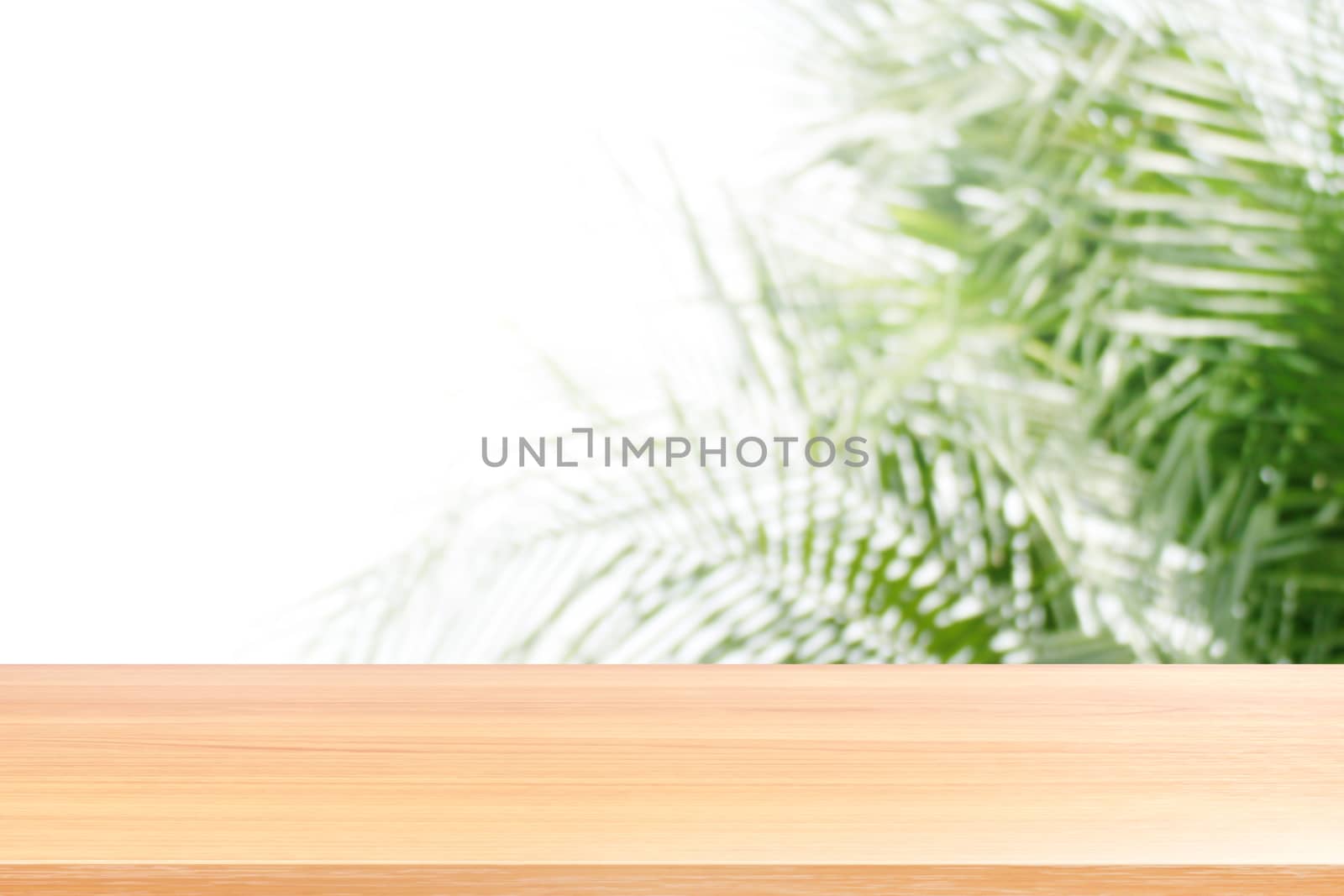 empty wood table on coconut blur, wood plank on blurred coconut green tree soft light white background, empty wood table floors on abstract coconut tree green blur soft, wood board empty front coconut