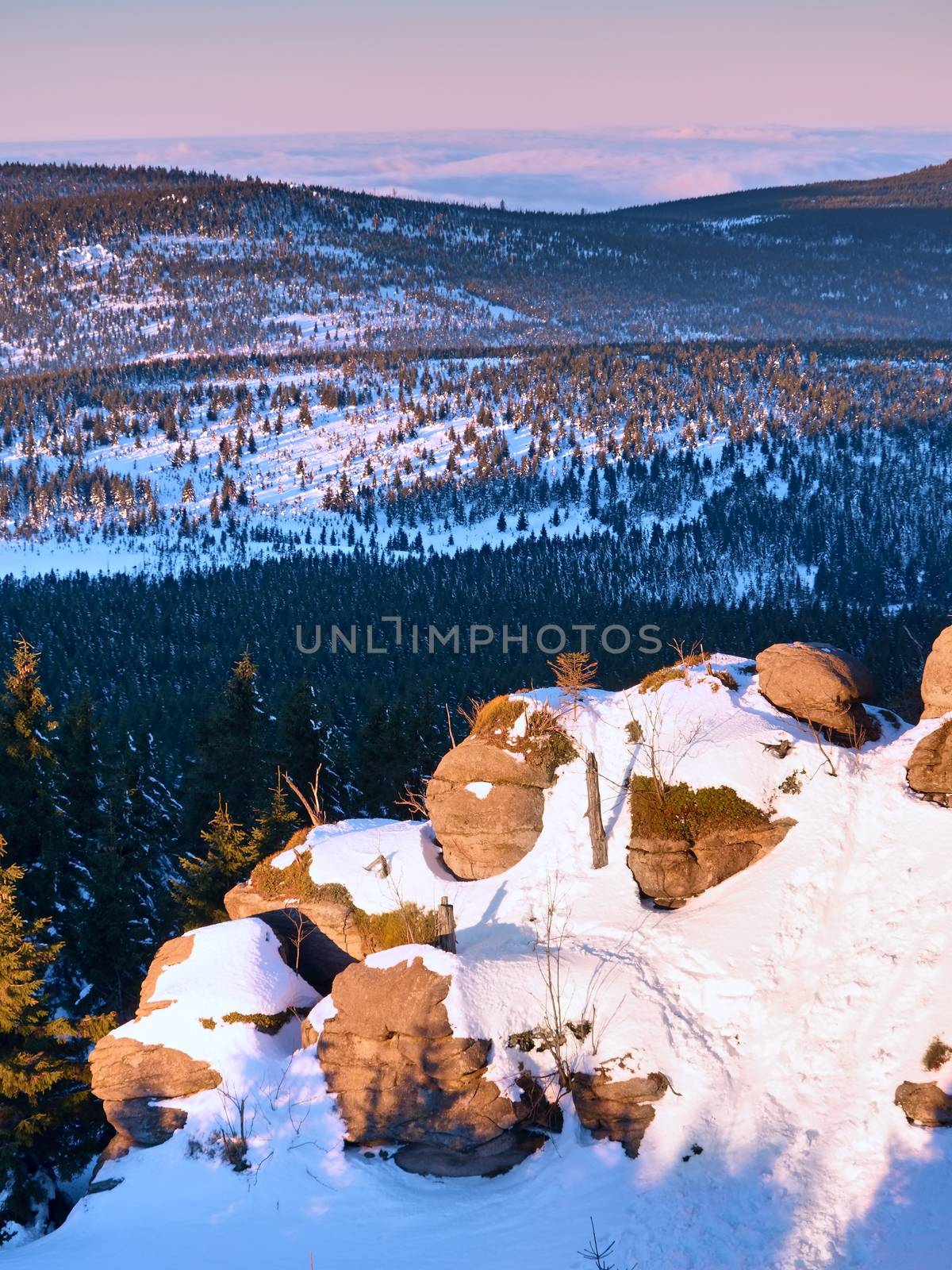 Rocky peak above inverse mist. Winter cold weather in mountains, colorful fog. Misty valley in winter mountains. Peaks of  mountains above creamy mist. 