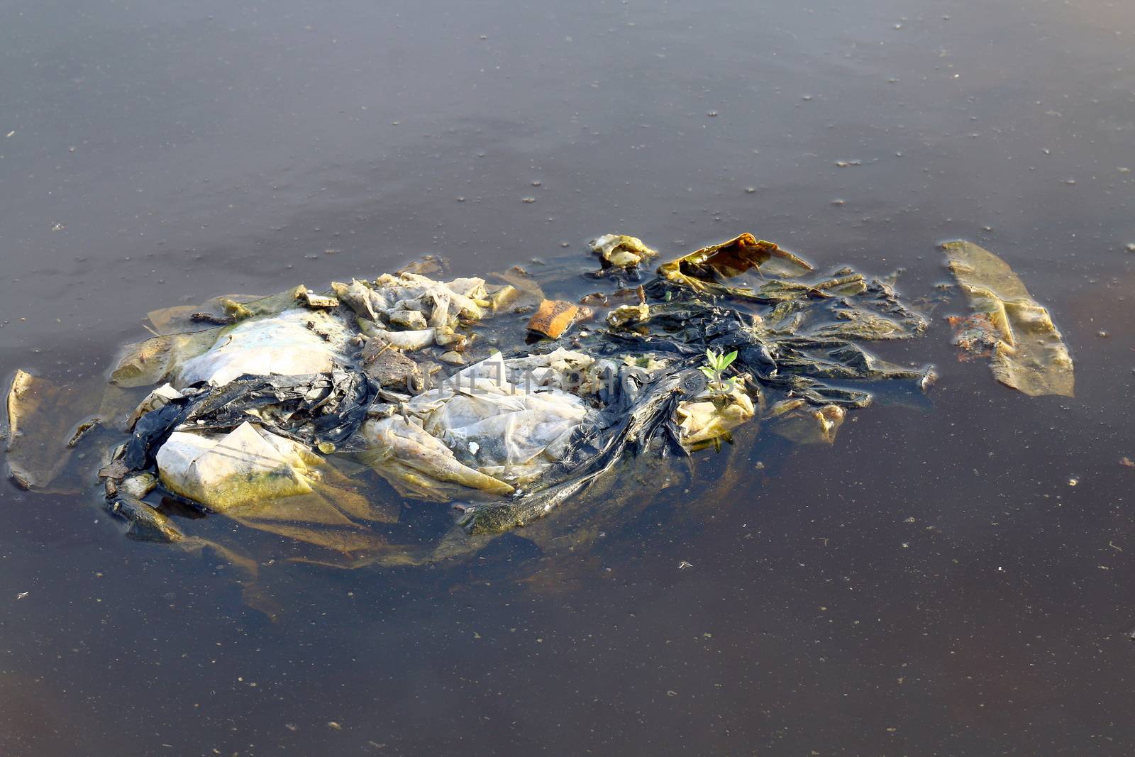 Dirty waste plastic bags on the surface water, Waste plastic bags do not Decomposed garbage, polluting nature ecological water dirty, Waste water, Rotten water background