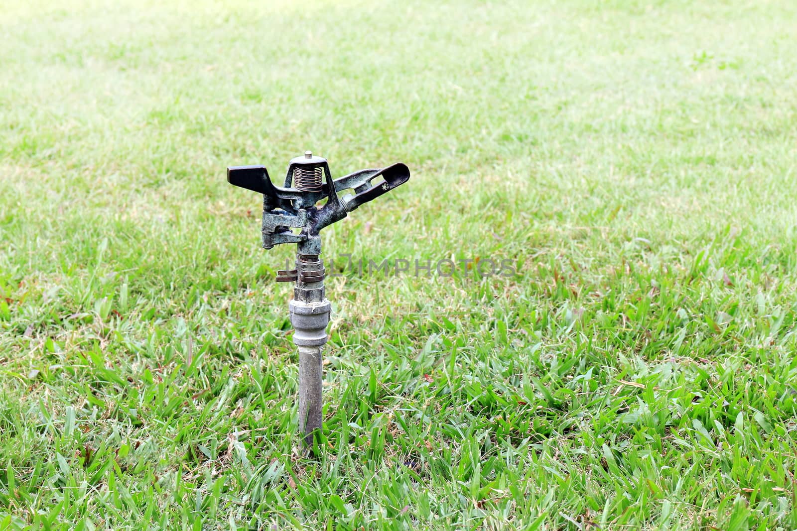old sprinkler water automatic in garden for watering grass