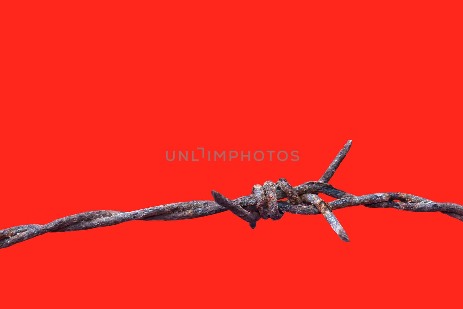 barbed wire rust old isolated on red background, barbed wire rusty meaning to incarcerate, imprison, detention center, incarceration by cgdeaw