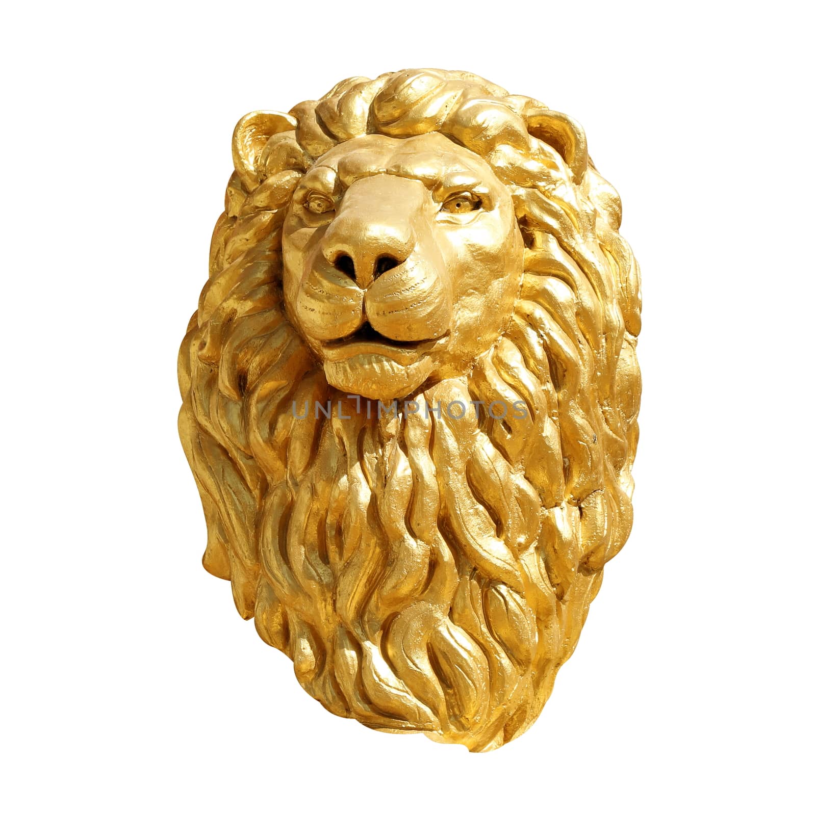 Lion Head gold, Golden Lion Head face Statue isolated on white background by cgdeaw