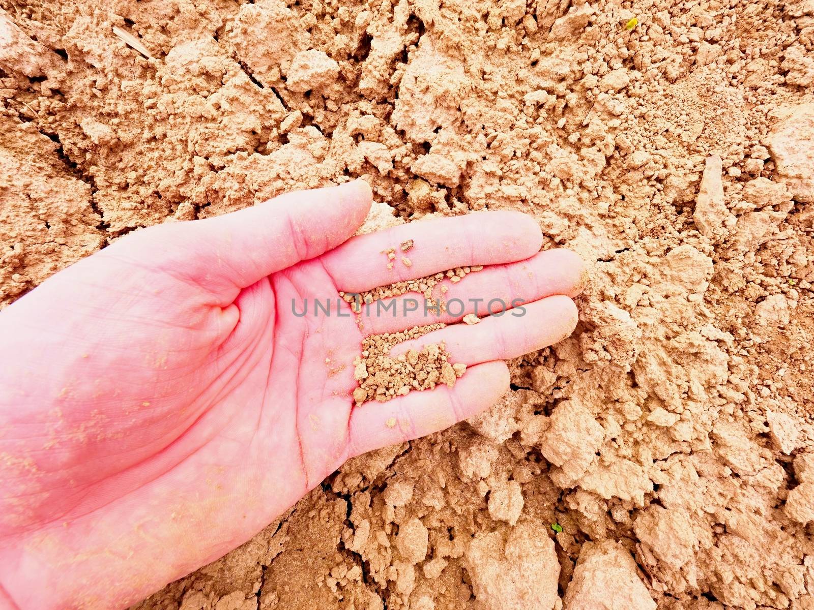 Dry pieces of cracked clay on male palm. Dry cracked clay in field. Dusty farmer palm