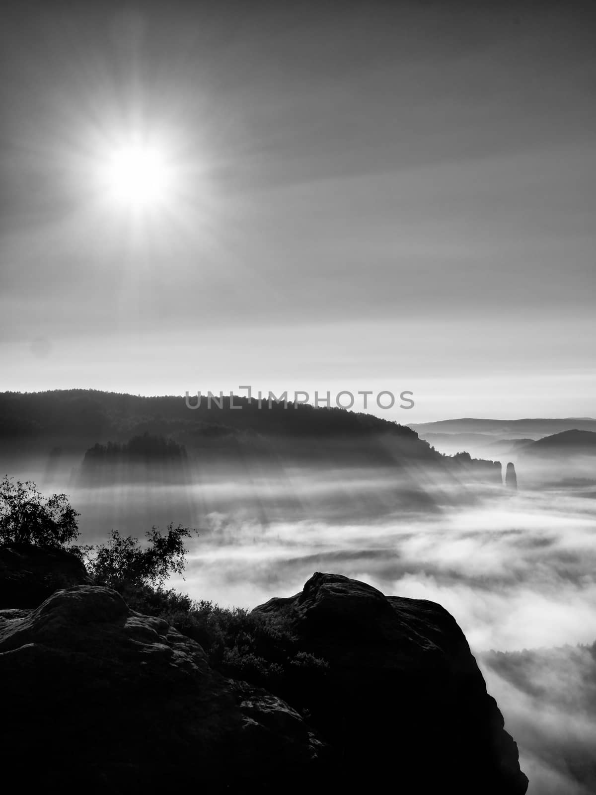 View over sandstone cliff into deep misty valley in Saxony Switzerland. Sandstone peaks increased from foggy background, the fog is orange due to sunrise.