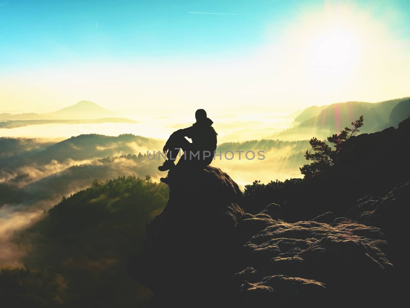 Man tourist sit on exposed rock. View point with heather and branches above misty valley. Sunny daybreak in rocky mountains.