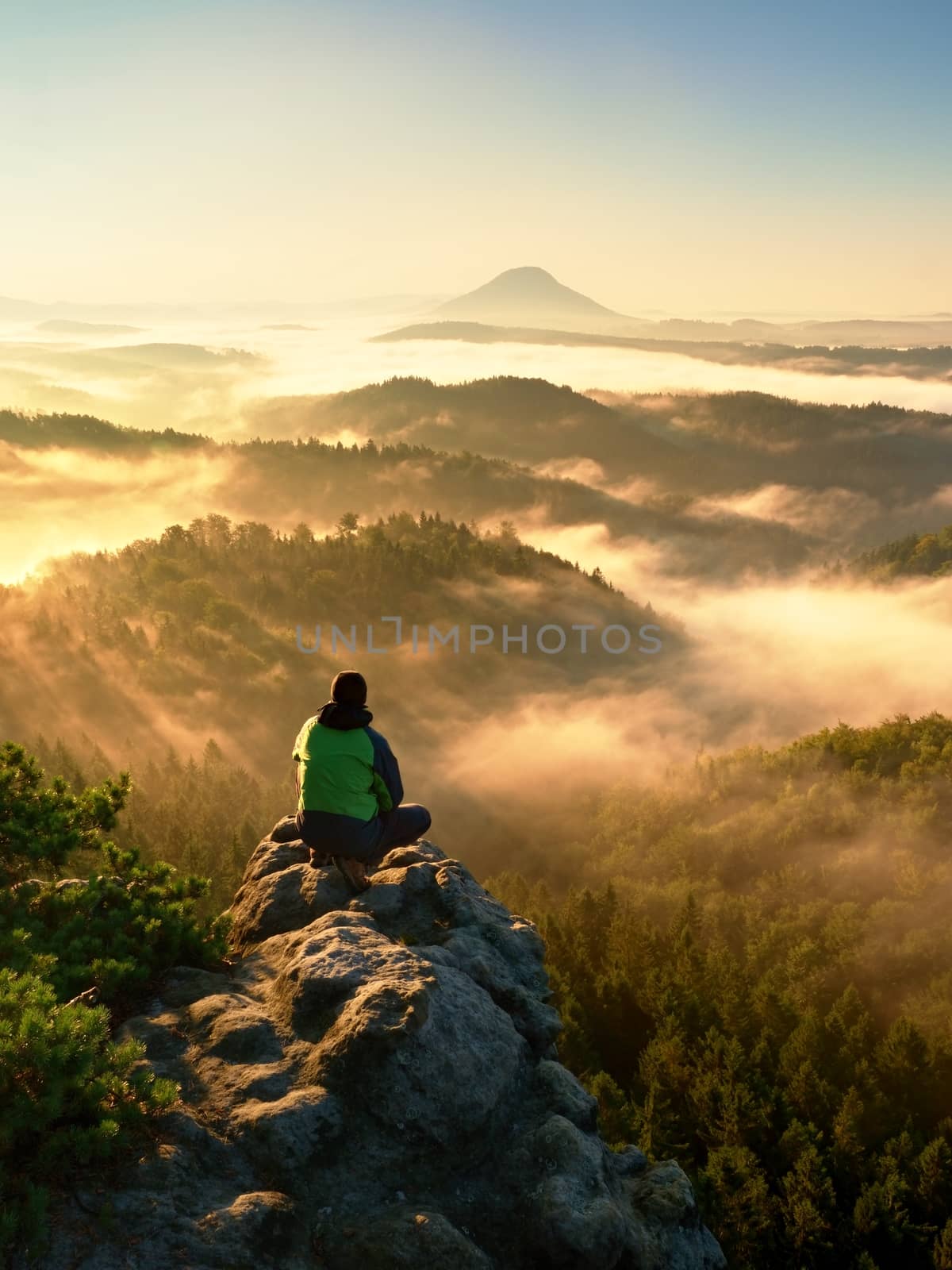 Man tourist sit on exposed rock. View point with heather and branches above misty valley. Sunny daybreak in rocky mountains.