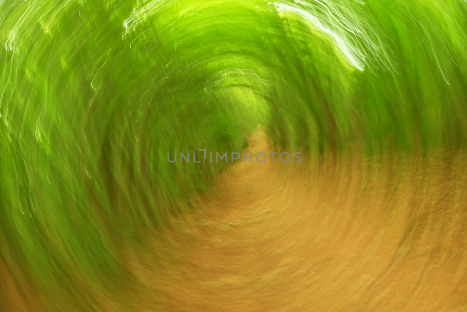 Defocused forest circle background. Blurred and de focused fresh green colors in forest, orange leaves on path. Hypnotic blurry effect.