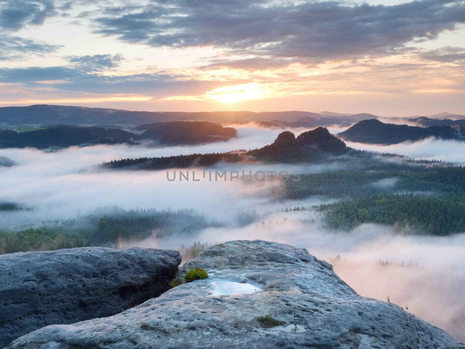 Cold misty autumn land in colorful shadows. Rocky gulch full of blue fog and Sun is hidden in mist.