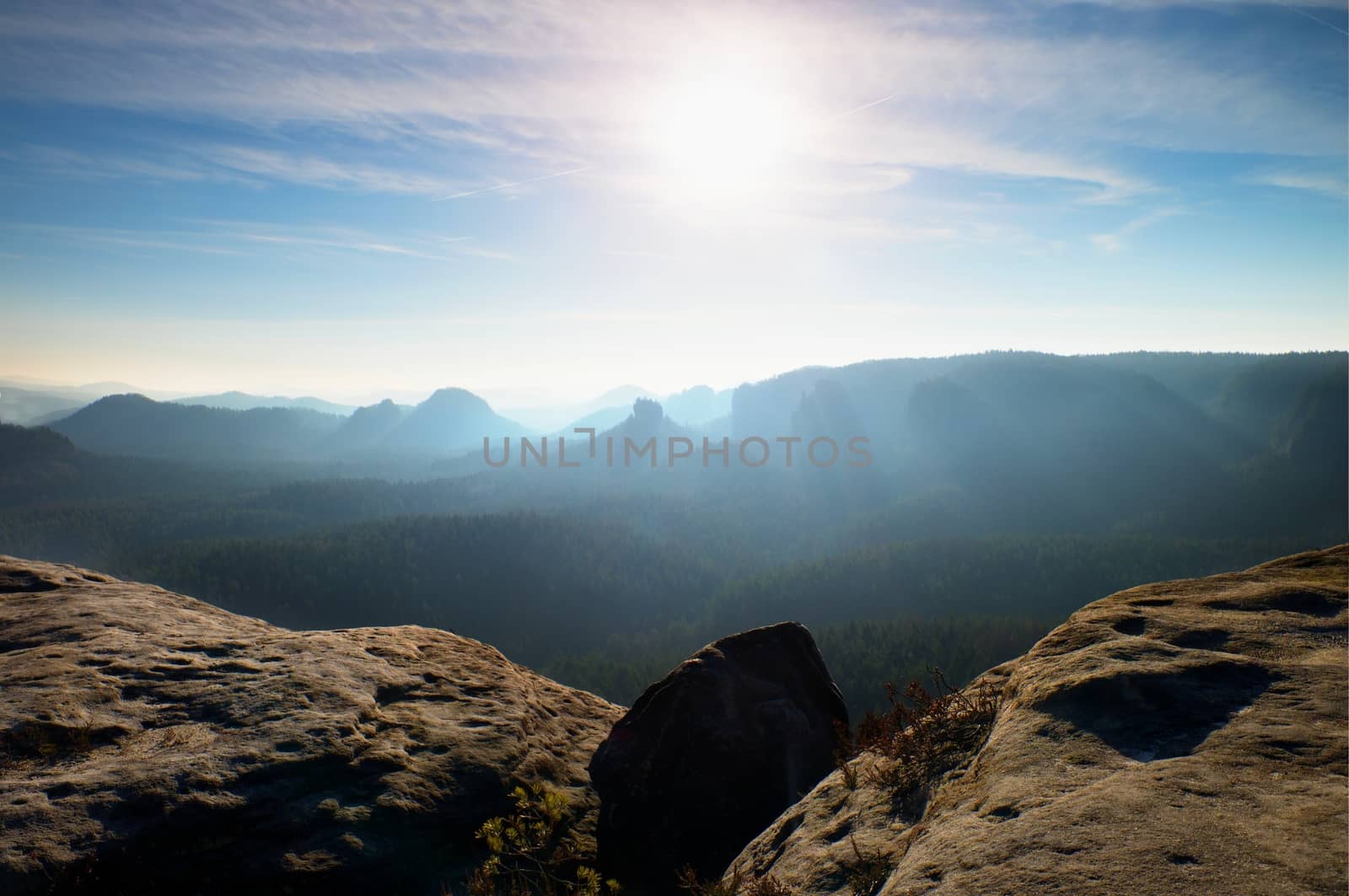 Spring misty morning in  forest landscape. Majestic peaks cut lighting mist. Deep valley is full of colorful fog and rocky hills are sticking up to Sun.