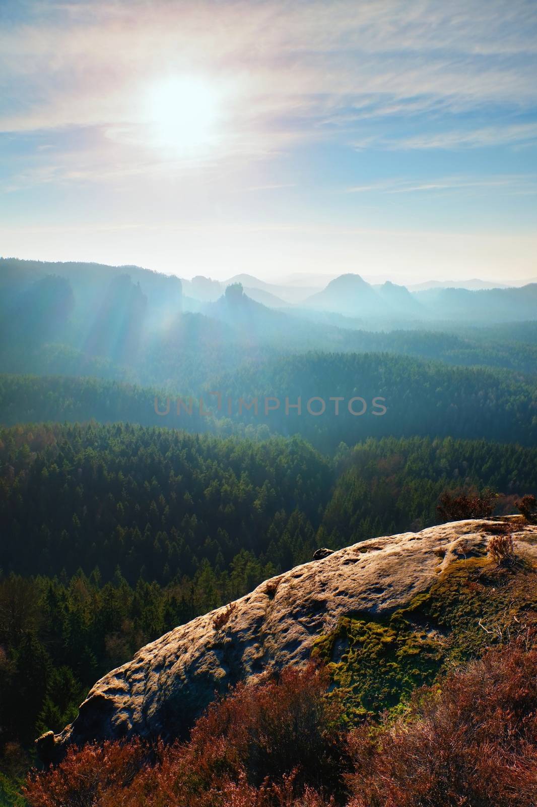 
Rocky gulch full of gentle fog and Sun is hidden in heavy mist. Sharp cliffs. Vidvid effect