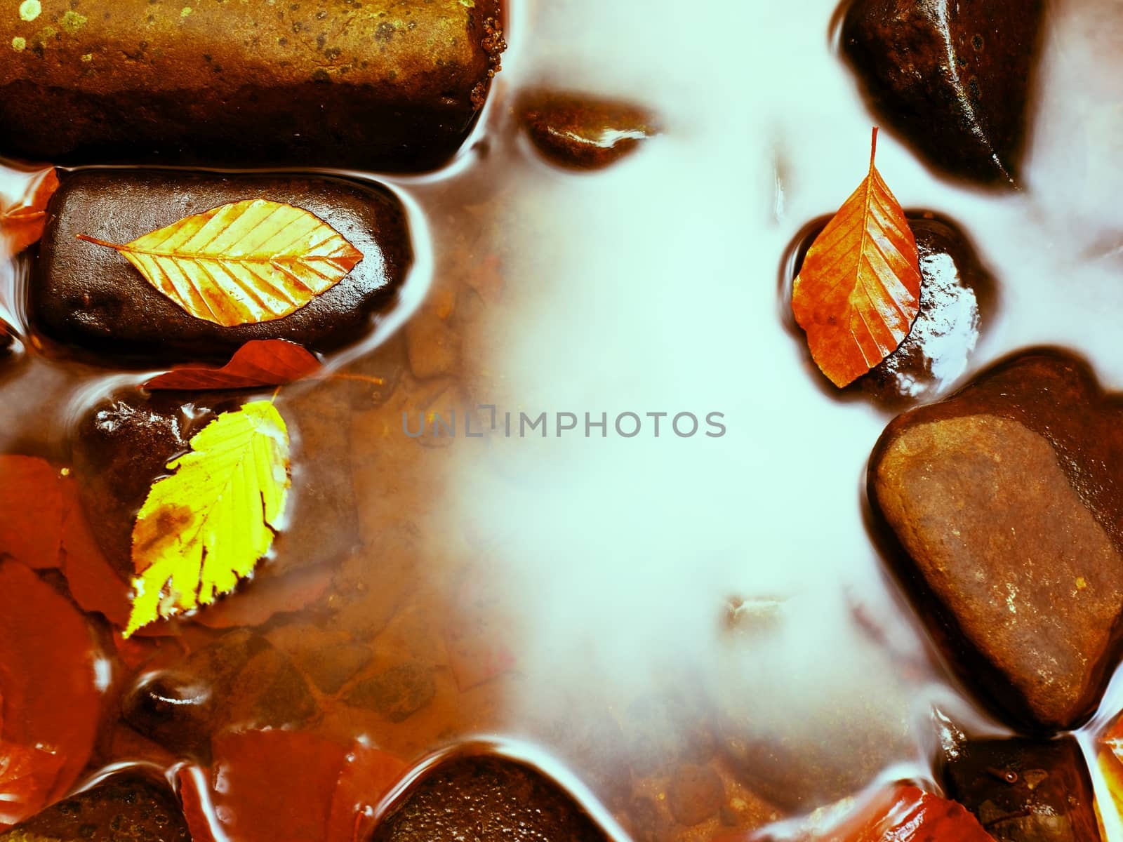 Filtered photo. Fall colors. Detail of gravel at mountain river covered with colorful autumnal leaves. Vivid colorful leaves  and poor mossy stones on river bank.