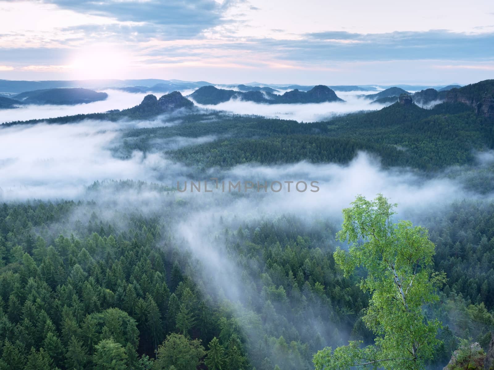 Marvelous daybreak. Misty awakening in a beautiful hills. Peaks of hills are sticking out from foggy background, the fog is red and orange due to Sun rays. 