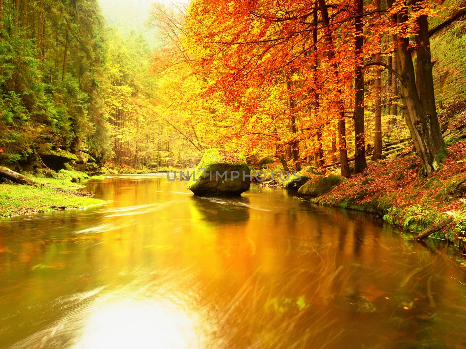 Beautiful Fall river lines with sandstone rocks, big boulders and colorful trees. A small river flows through a wild landscape with rocks