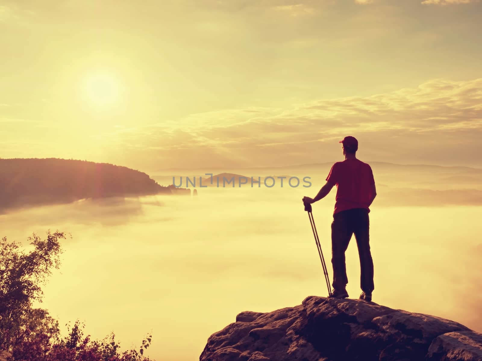 Tourist with hiking poles stand on cliff at heather bush on peak of rock empire. Man is watching over creamy fog in  valley bellow to big  Sun