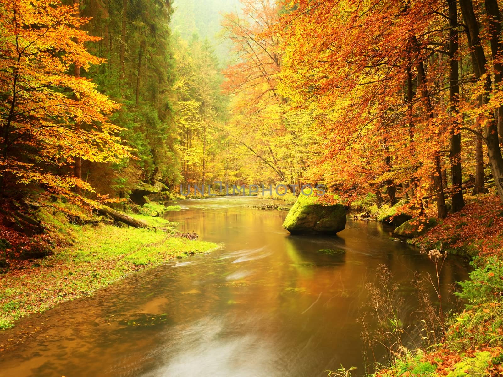 Beautiful Fall river lines with sandstone rocks, big boulders and colorful trees. A small river flows through a wild landscape with rocks