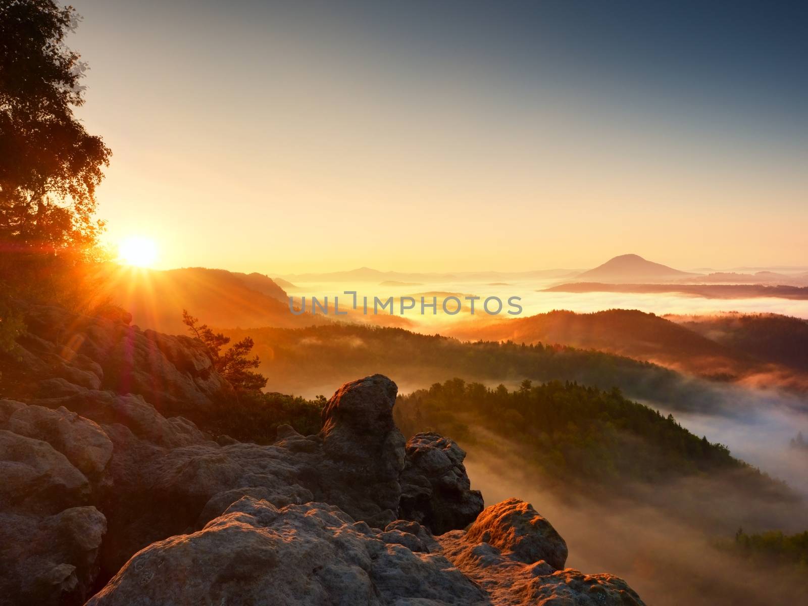 Beautiful autumnal landscape with mountain view,  morning foggy valley within sunrise. Foggy strips between treetops between hills.