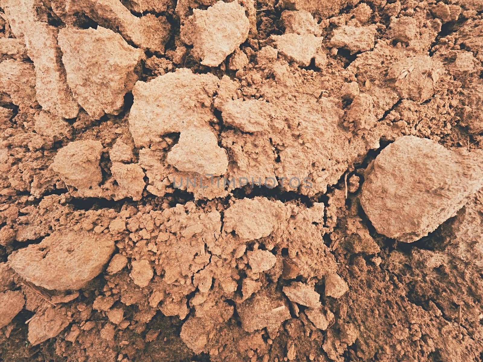 Dry dusty clay on the field. Empty plowed field waits for sowing. Dust from the dry clay wind blowing away. Hot spring day in the field