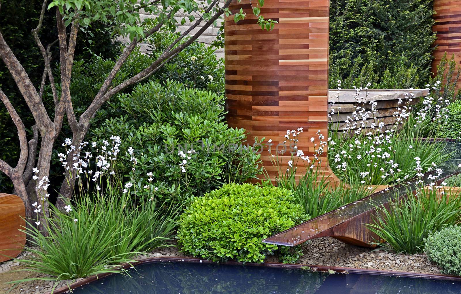 Pool side of an modern urban garden with tree, seating and white flowers