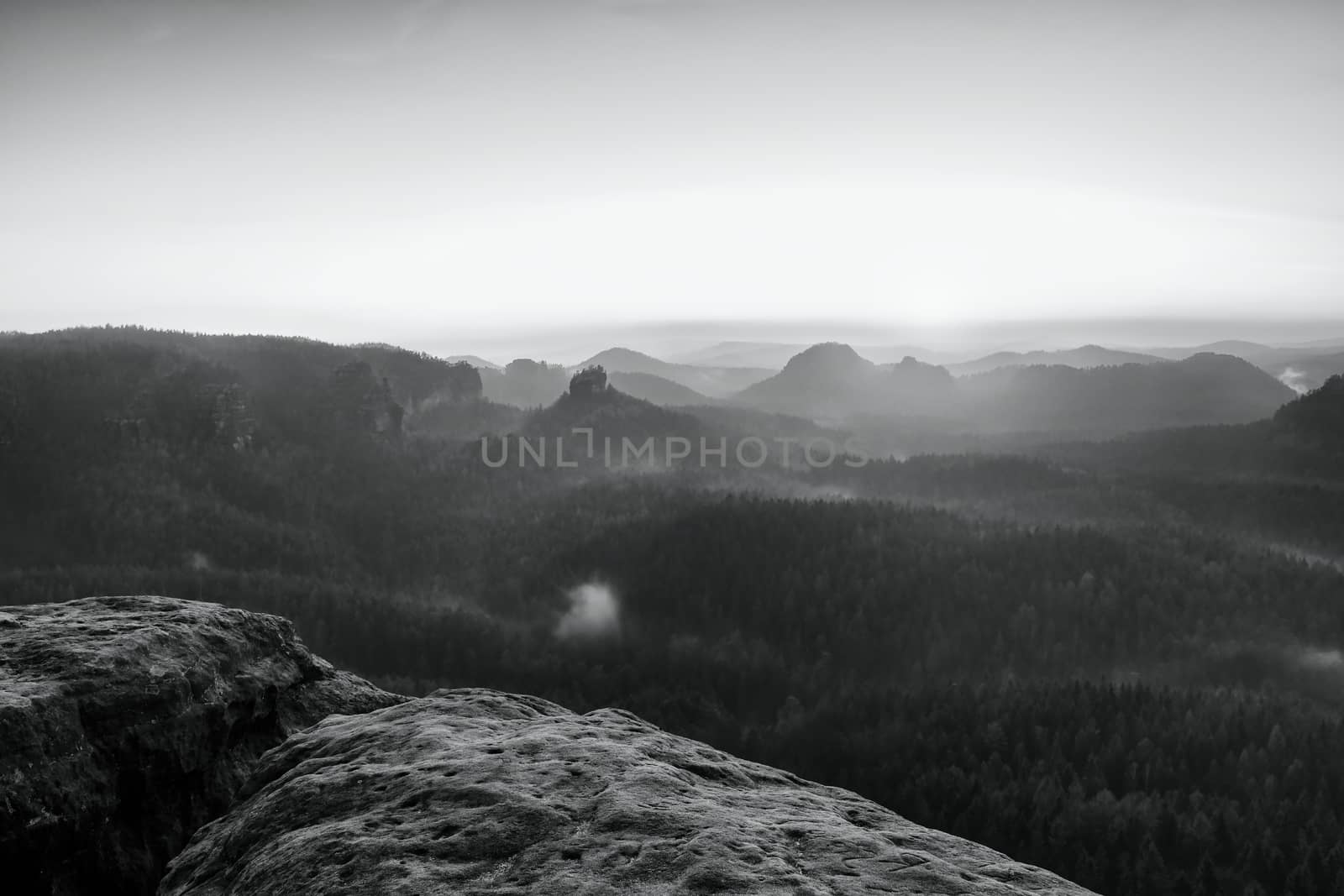 Misty awakening in beautiful mountains park. Peaks of hills are sticking out from foggy background