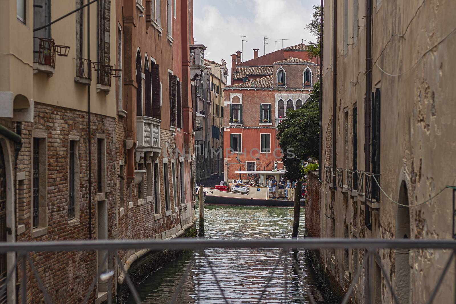 Venice river detail by pippocarlot