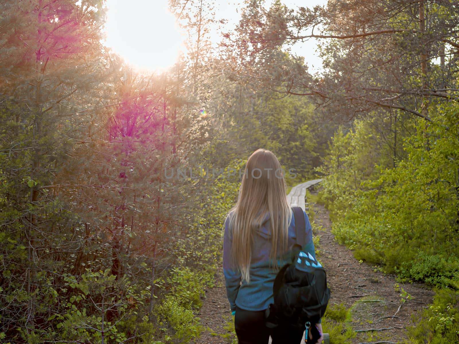 view of beautiful woman traveler standing in forest, Estonia. lifestyle tourist girl backpack standing with smartphone , explorirng directions. Vacation concept, summer time. Toned image. Sunset