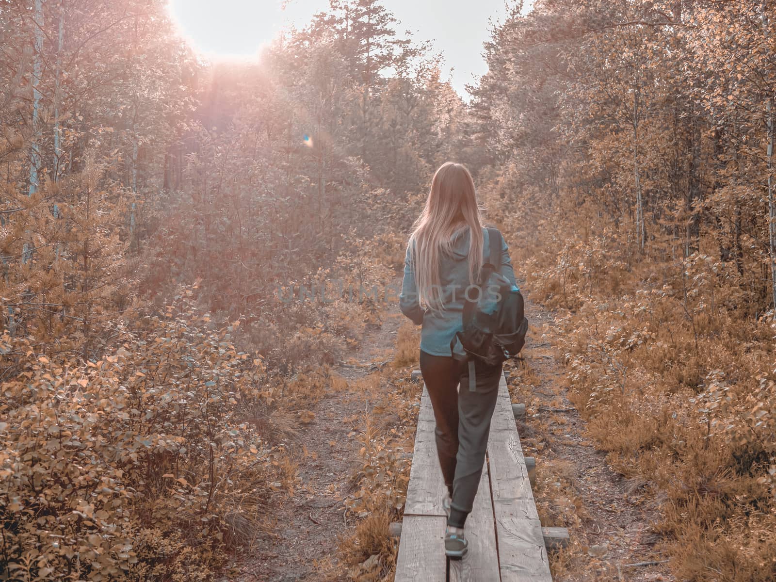 view of beautiful woman traveler standing in forest, Estonia. lifestyle tourist girl backpack standing with smartphone , explorirng directions. Vacation concept, summer time. Toned image. Sunset