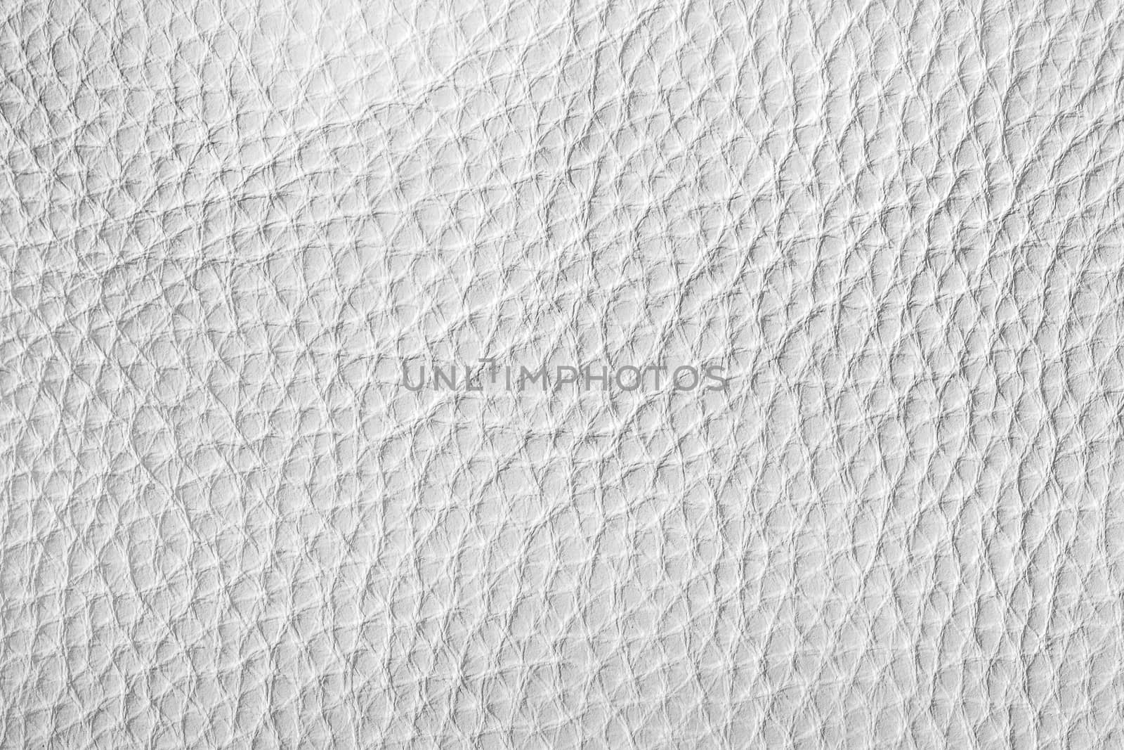 White leather texture with copy space. by Eugene_Yemelyanov