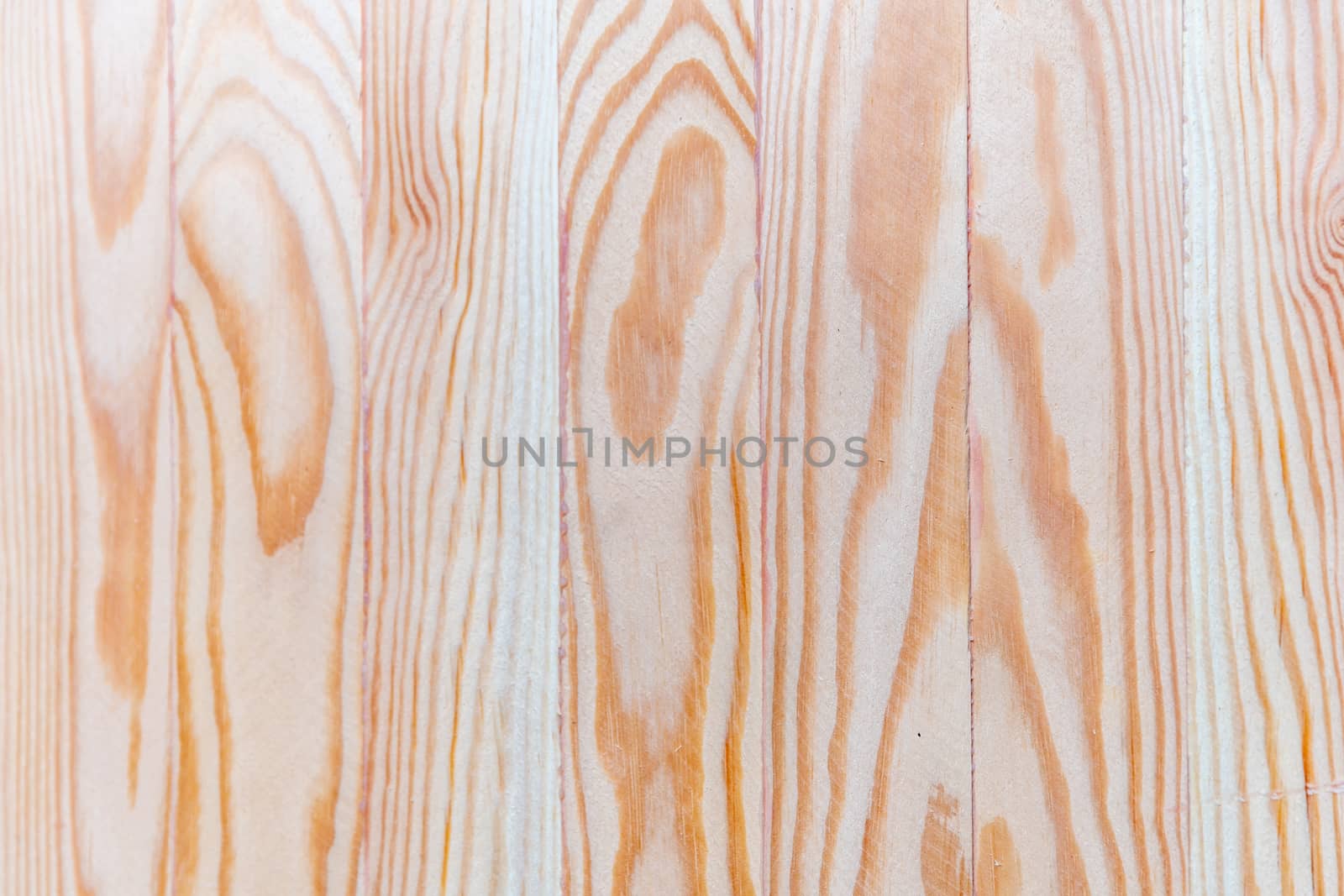 texture of wood on freshly cut flat surface.