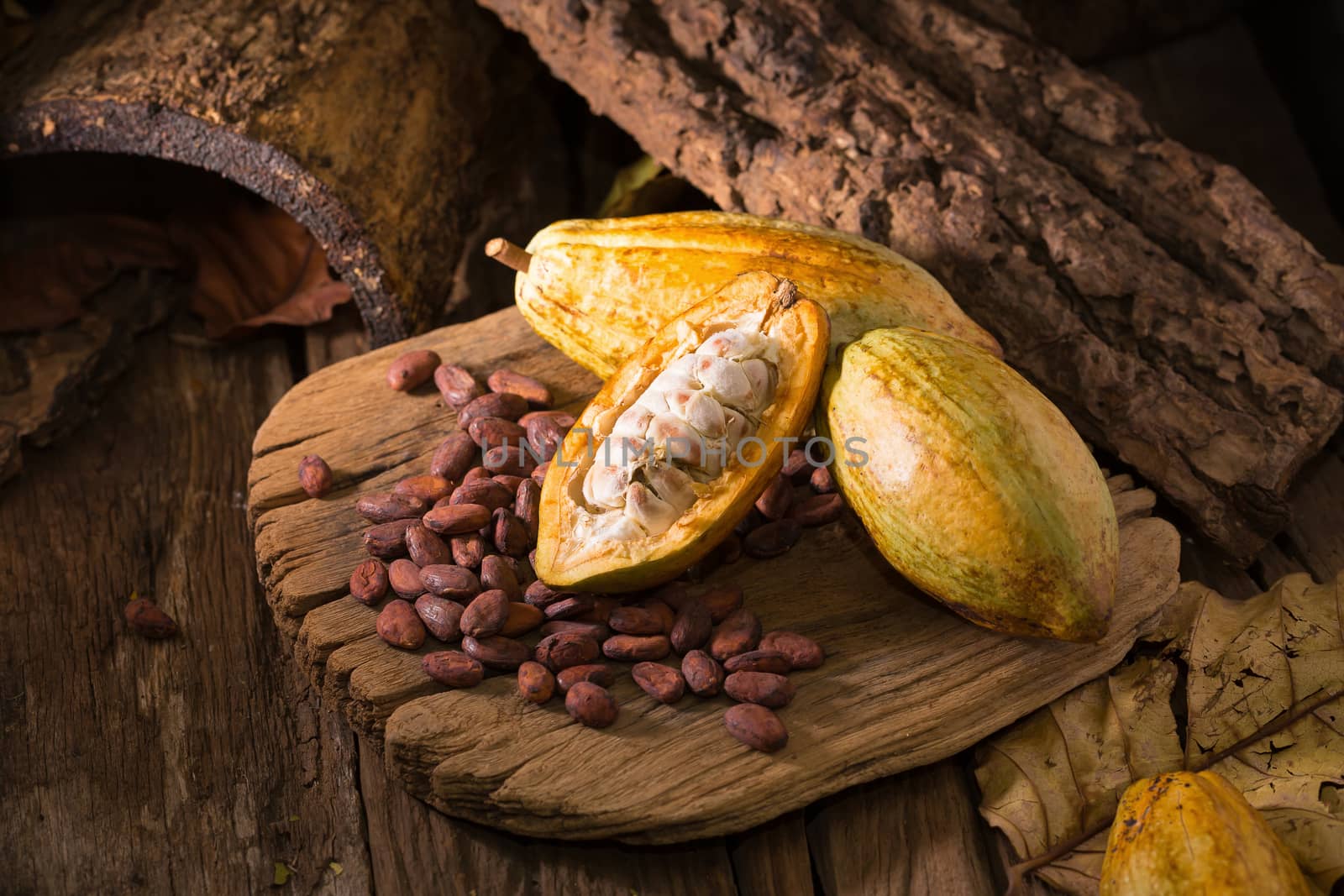 Cacao fruit, raw cacao beans, Cocoa pod on wooden background.