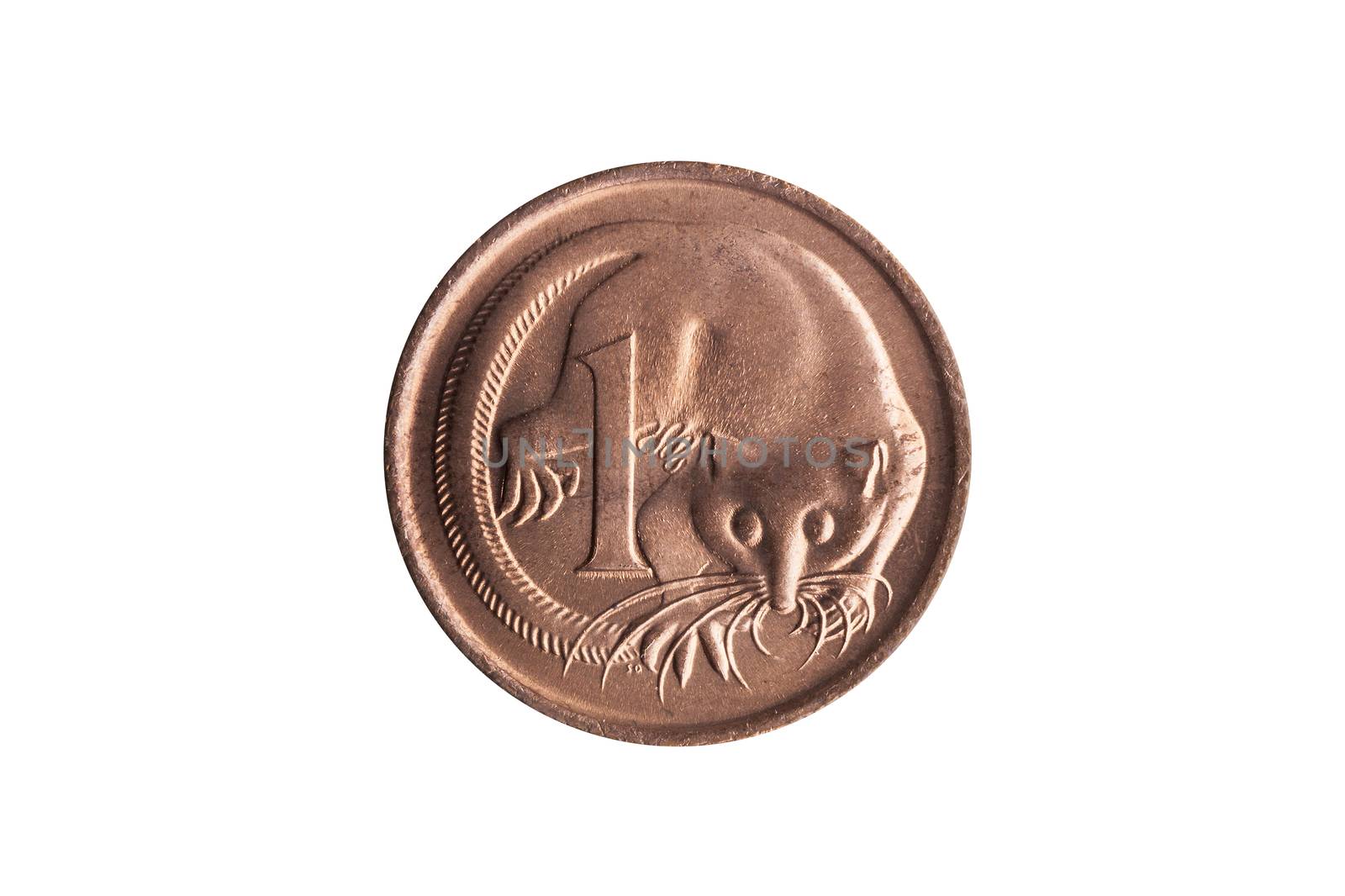 Australia one cent penny coin with an image of a Feathertail Glider possum cut out and isolated on a white background