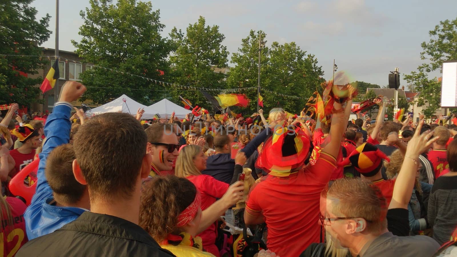 Kapellen, Belgium, June 2018, Belgian football fans celebrating a scored goal during a match