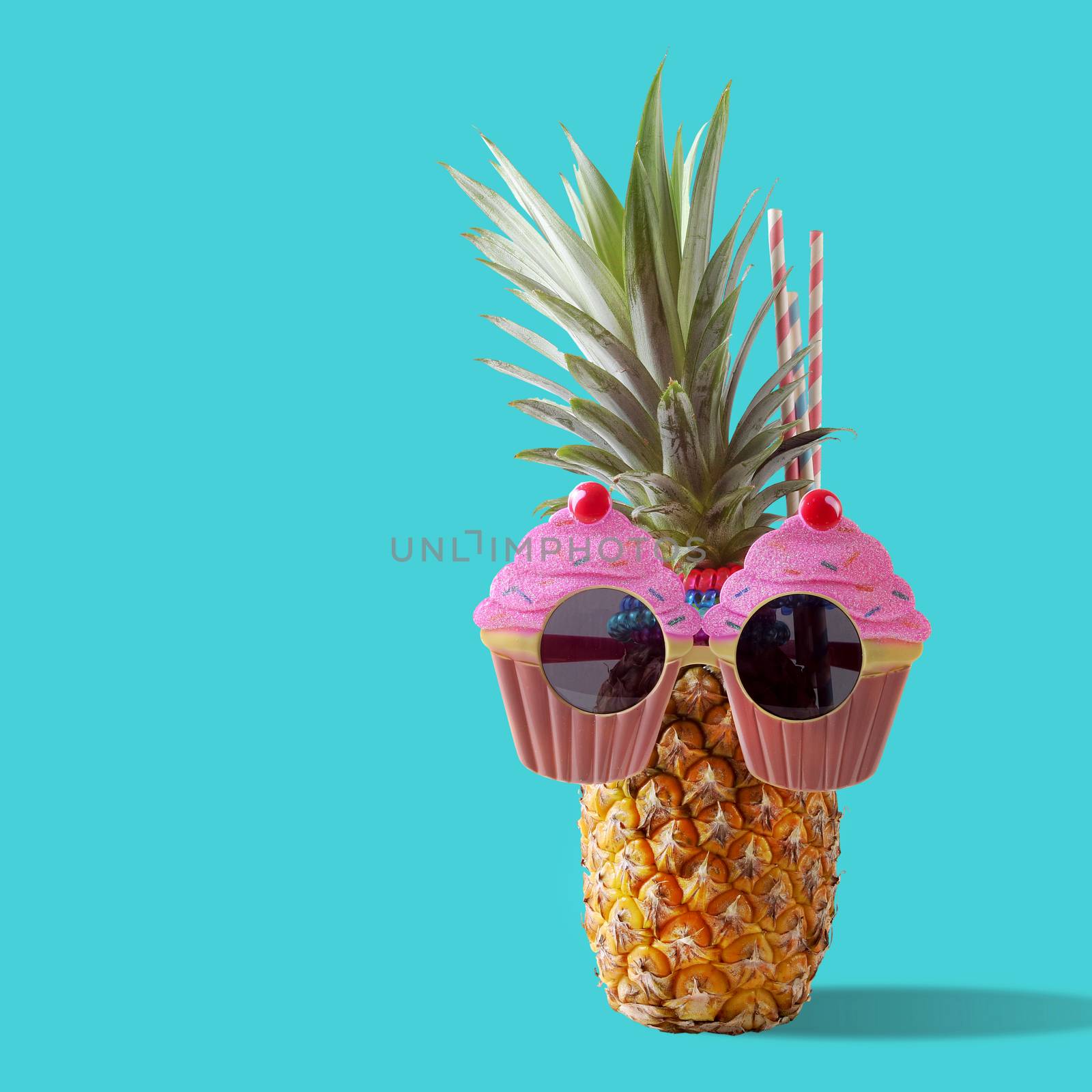 Summer and Holiday concept.Hipster Pineapple Fashion Accessories by everythingpossible
