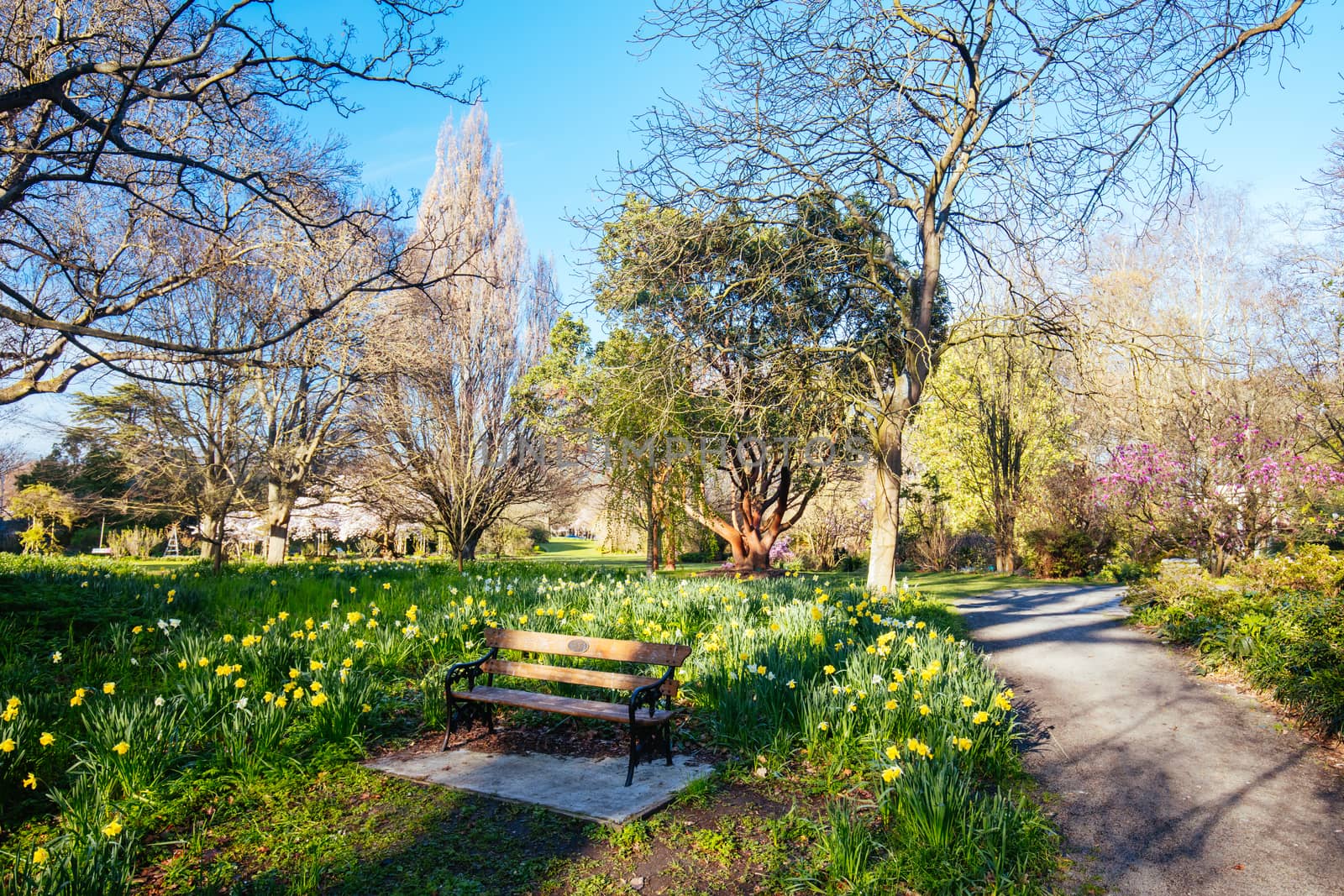 The popular tourst attraction of Christchurch Botanic Gardens on a warm spring day in New Zealand