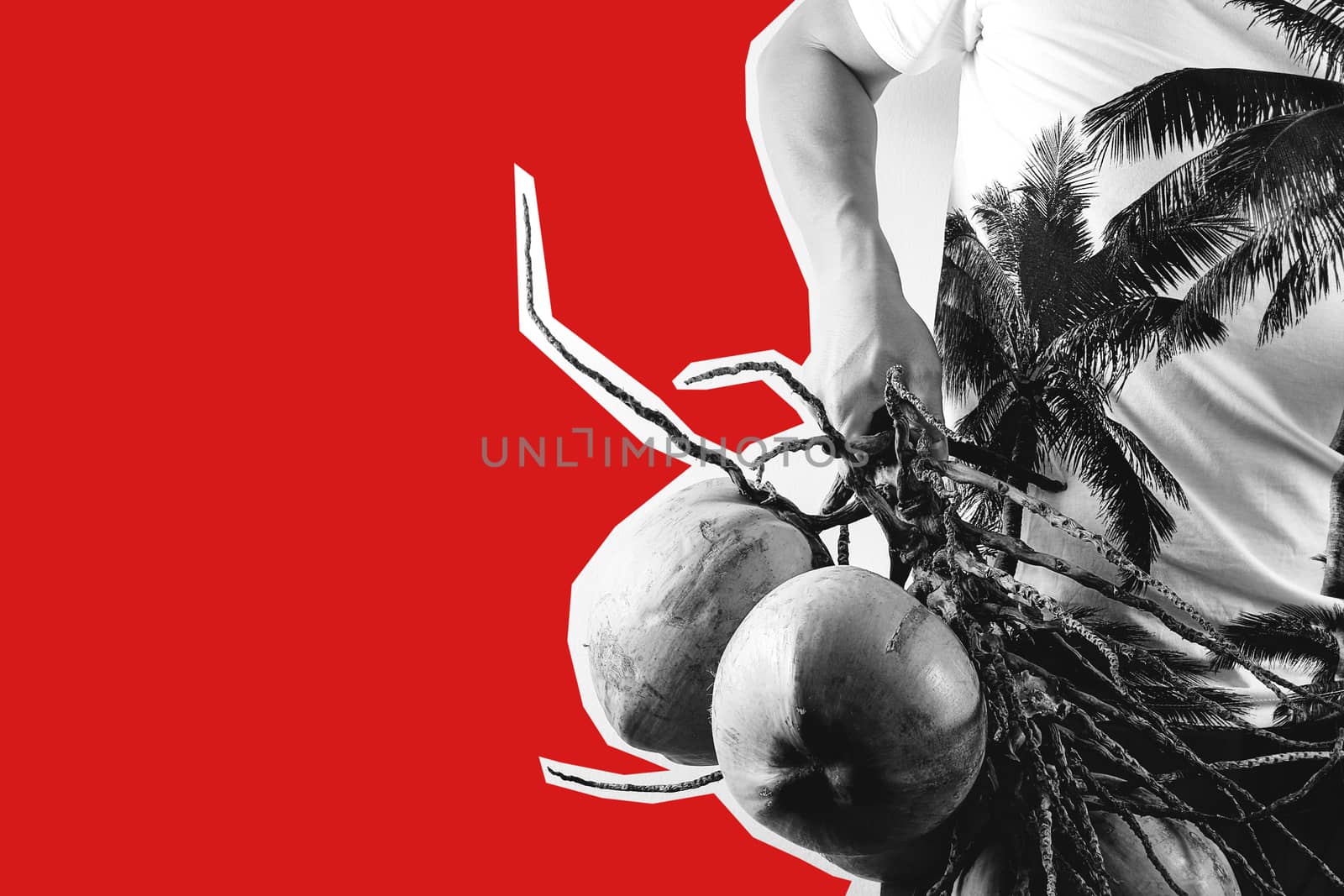 Summer and holiday fashion collage magazine concept.Man Wearing palm trees graphics on T-shirt and holding cluster of coconuts with items on red background