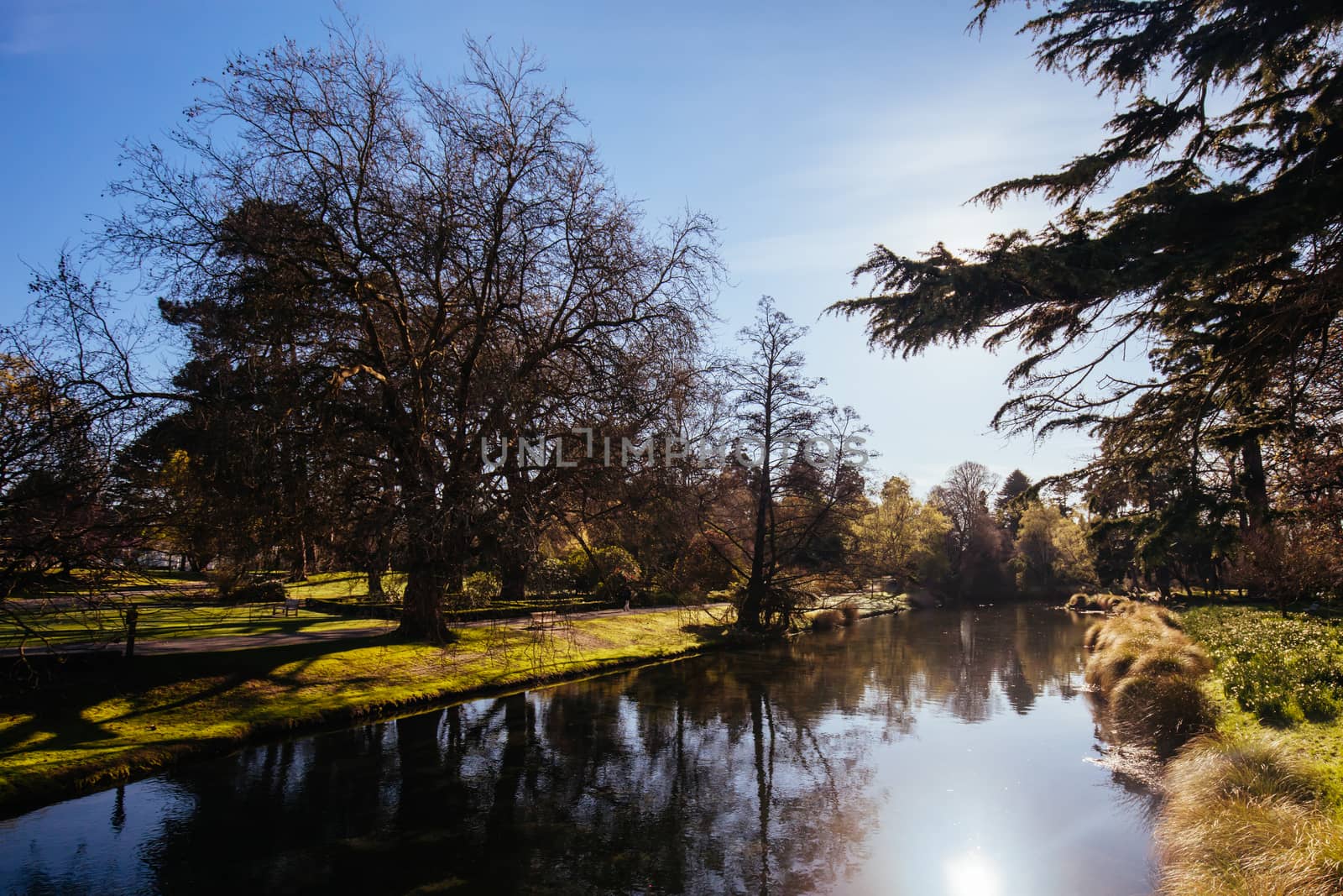 The popular tourst attraction of Christchurch Botanic Gardens on a warm spring day in New Zealand