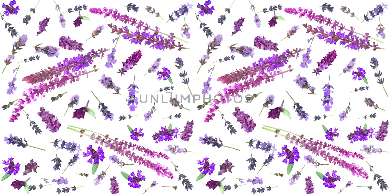 Flower pattern of wildflowers. Composition of lavender and sage flowers and herbs. Top view. Floral abstract background isolated on white background.   
